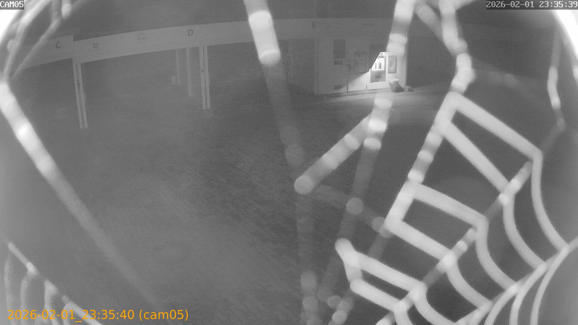 thumbnail_20260201233540