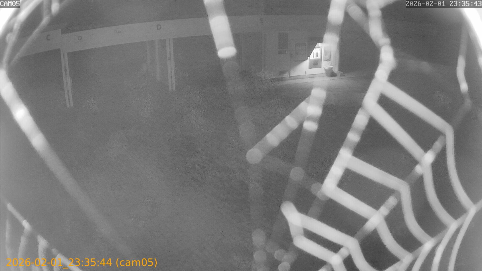 thumbnail_20260201233544