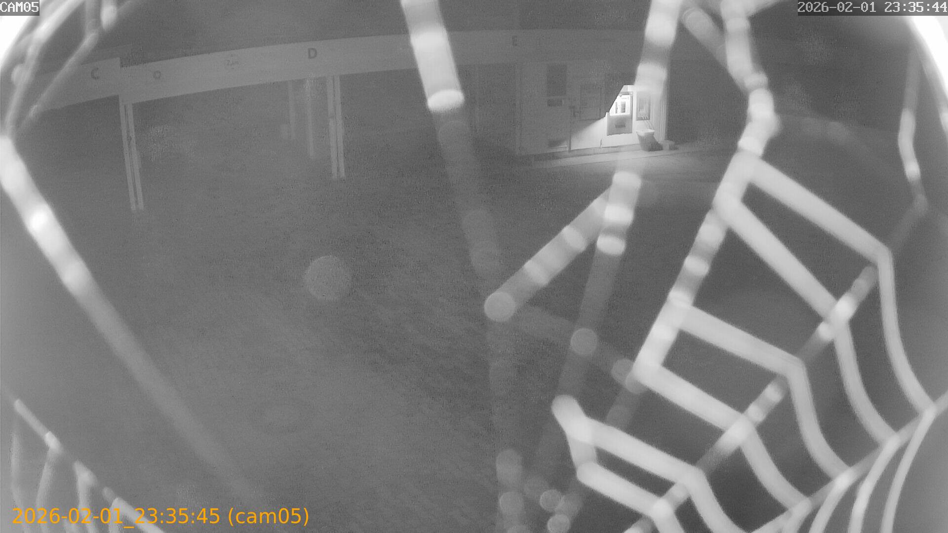 thumbnail_20260201233545