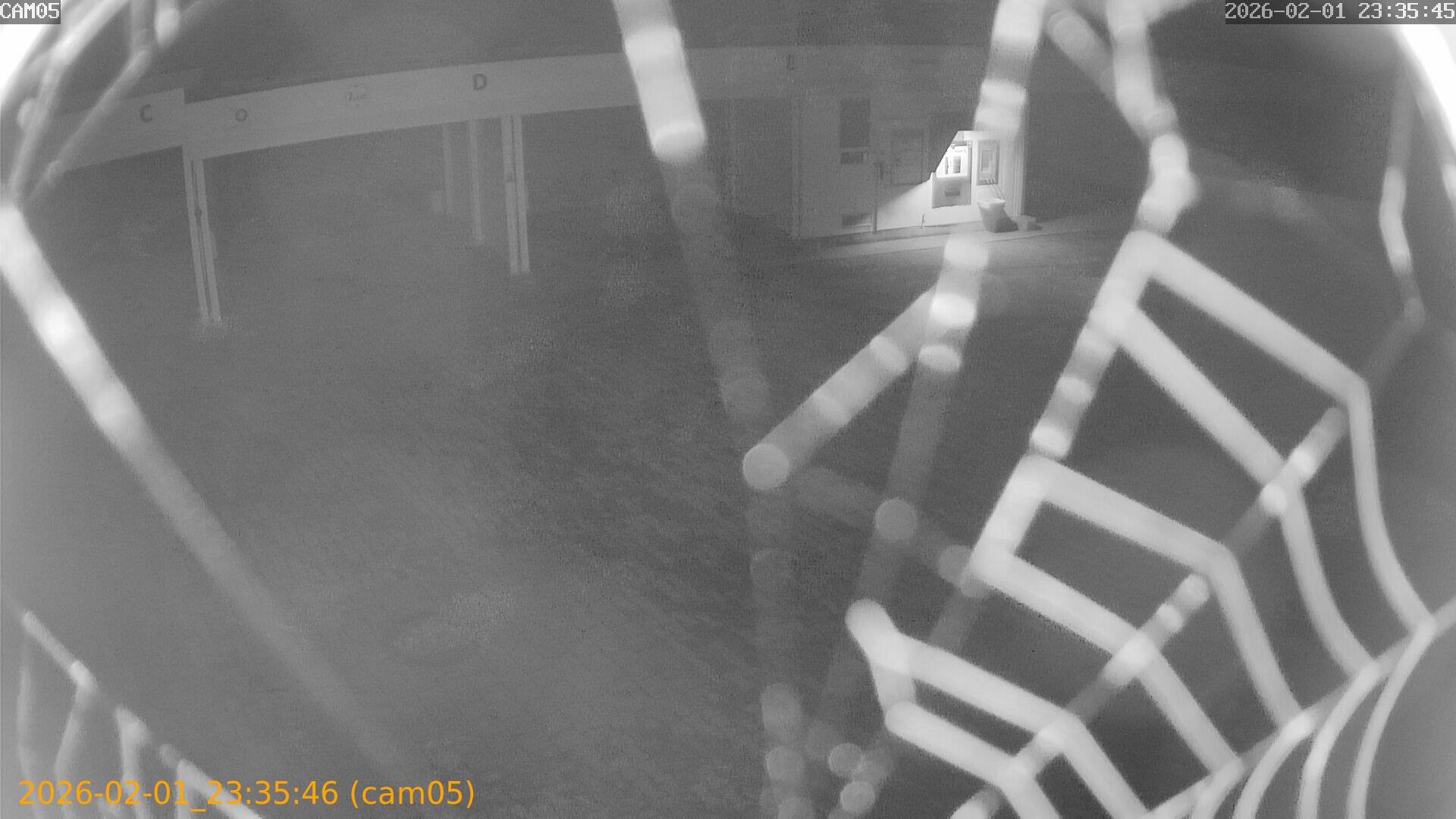 thumbnail_20260201233546