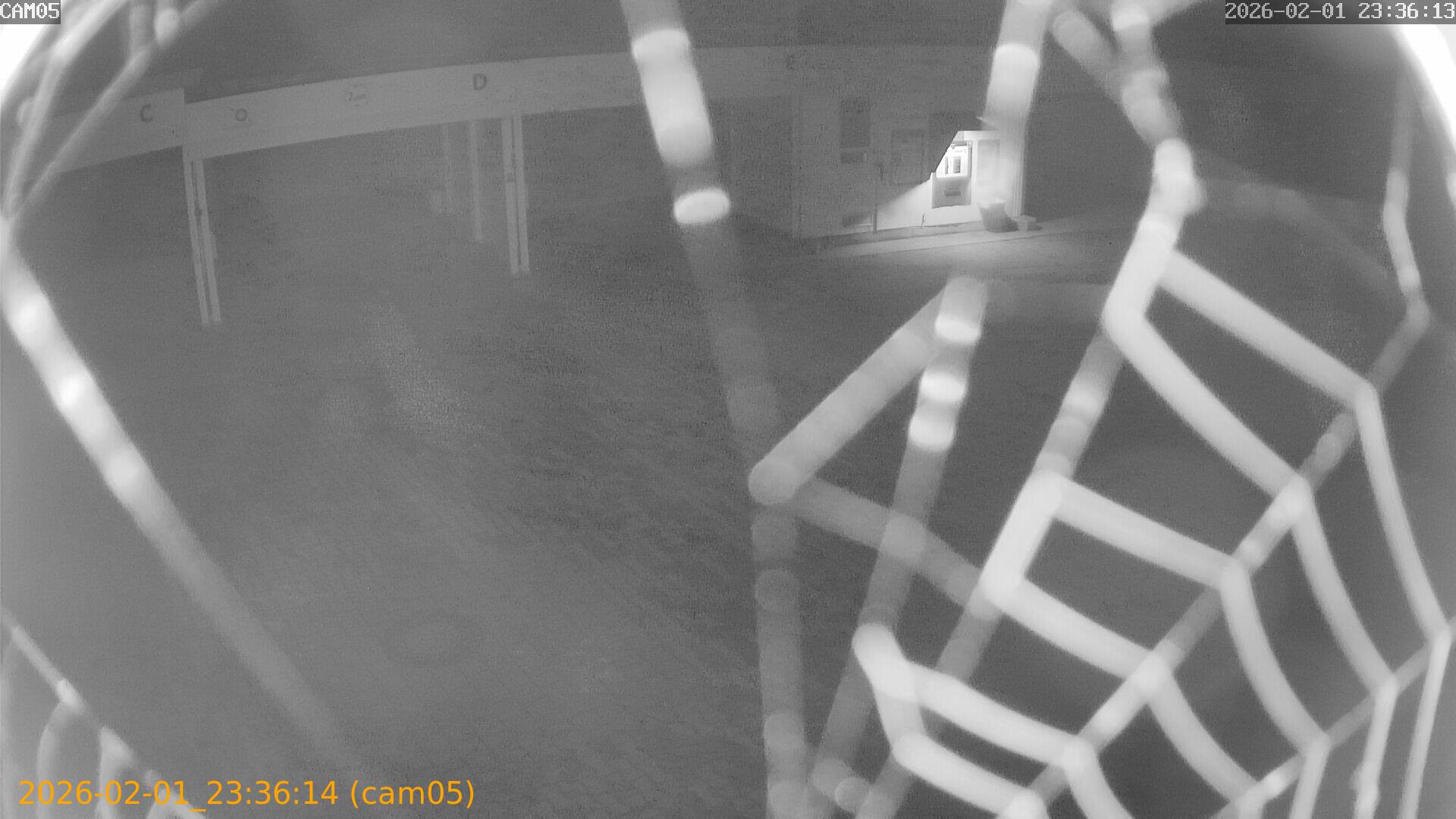 thumbnail_20260201233614