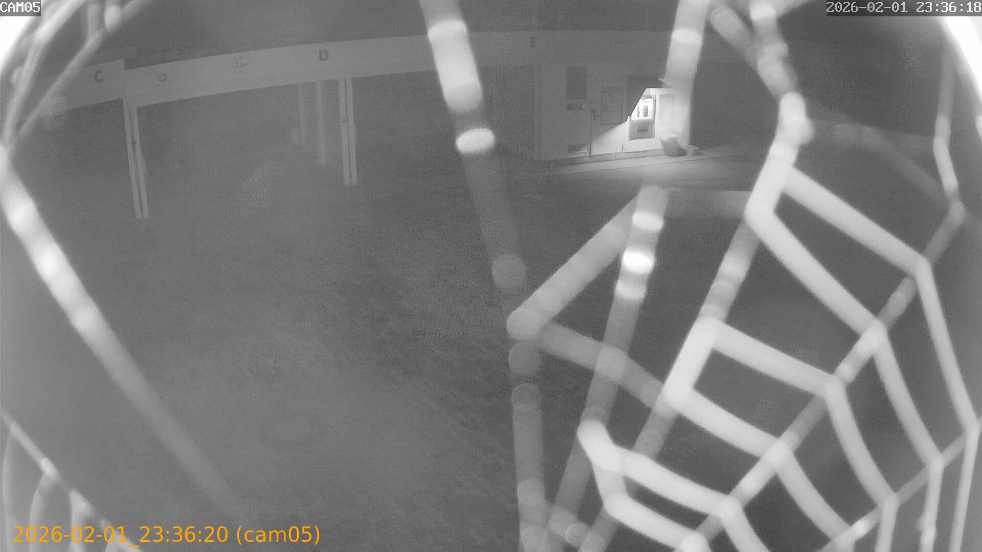 thumbnail_20260201233620