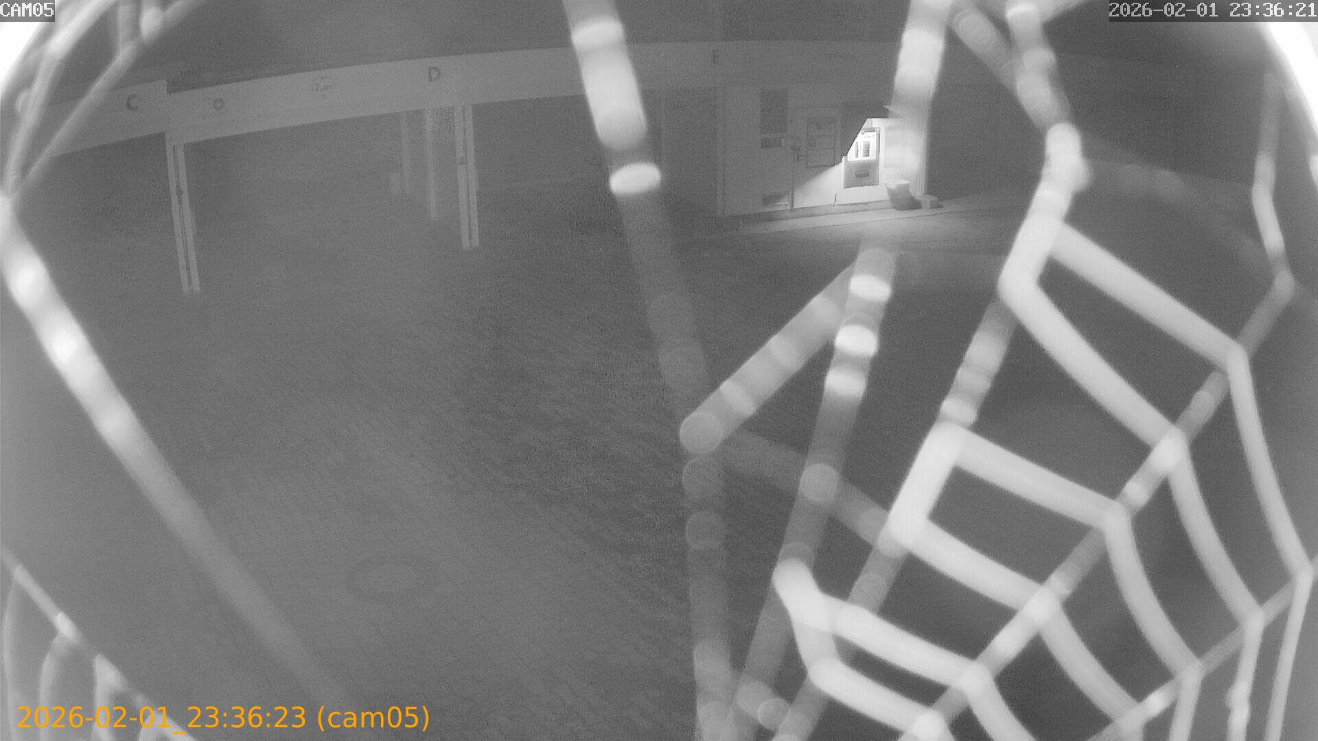 thumbnail_20260201233623