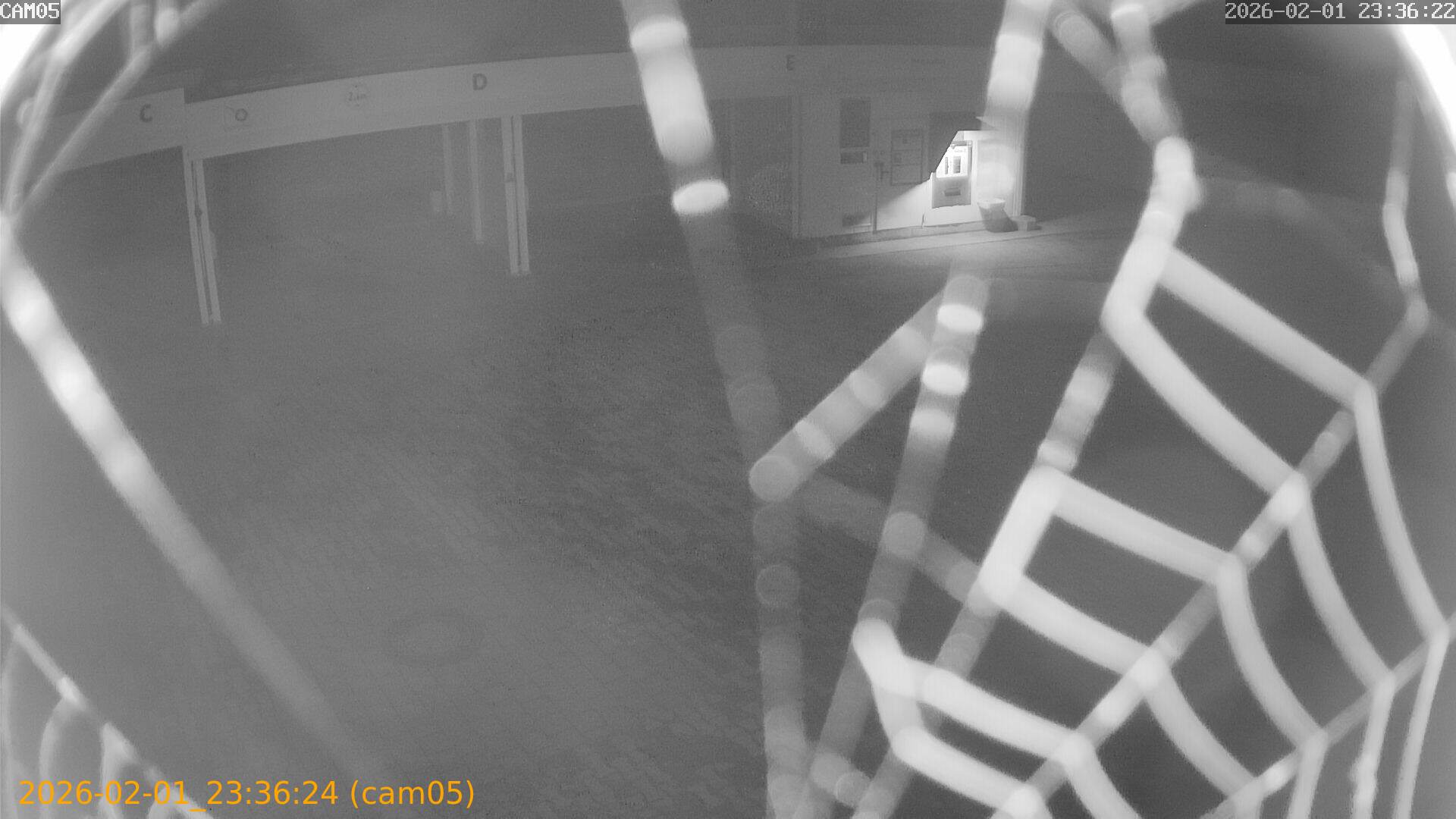 thumbnail_20260201233624