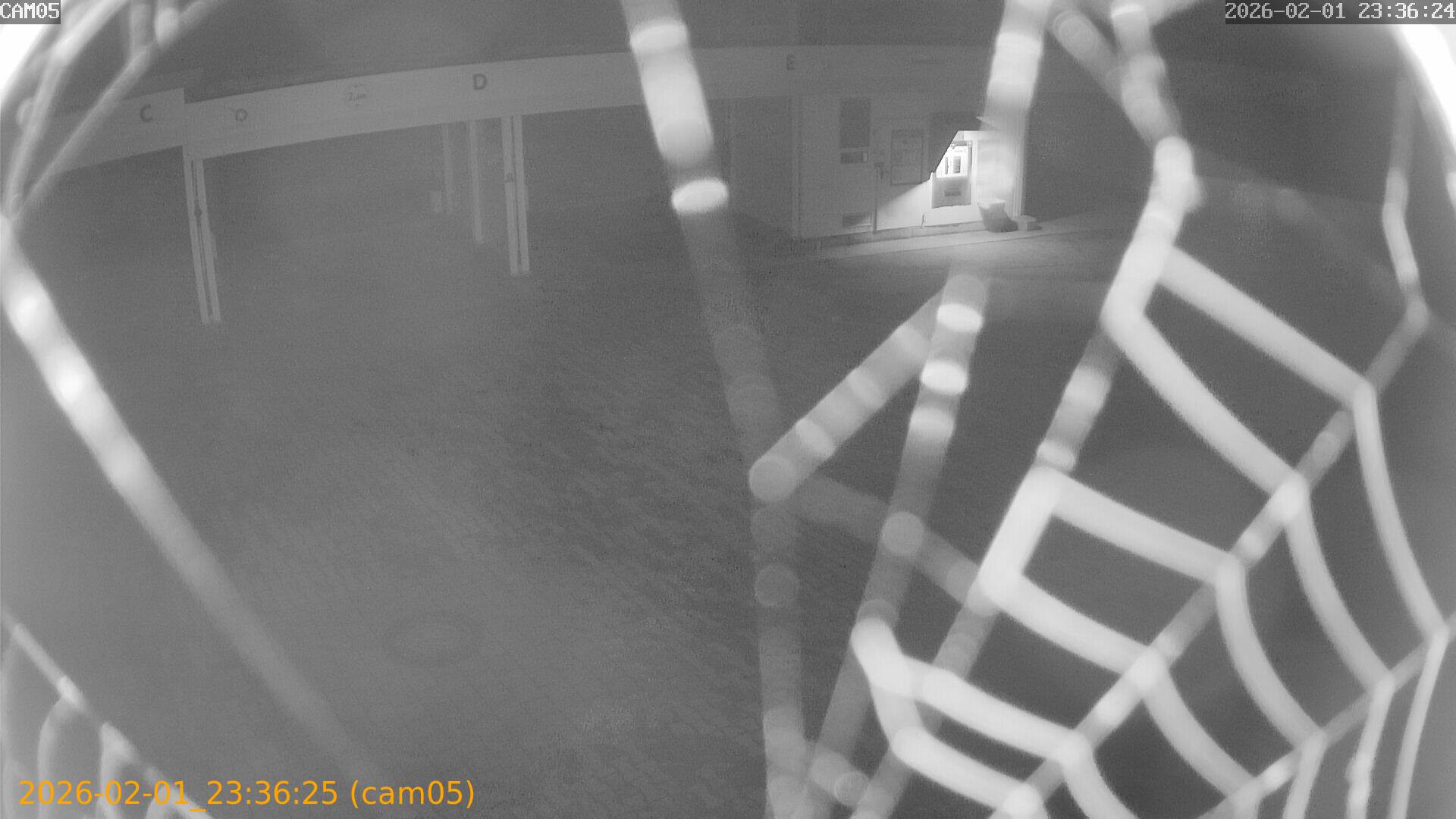 thumbnail_20260201233625