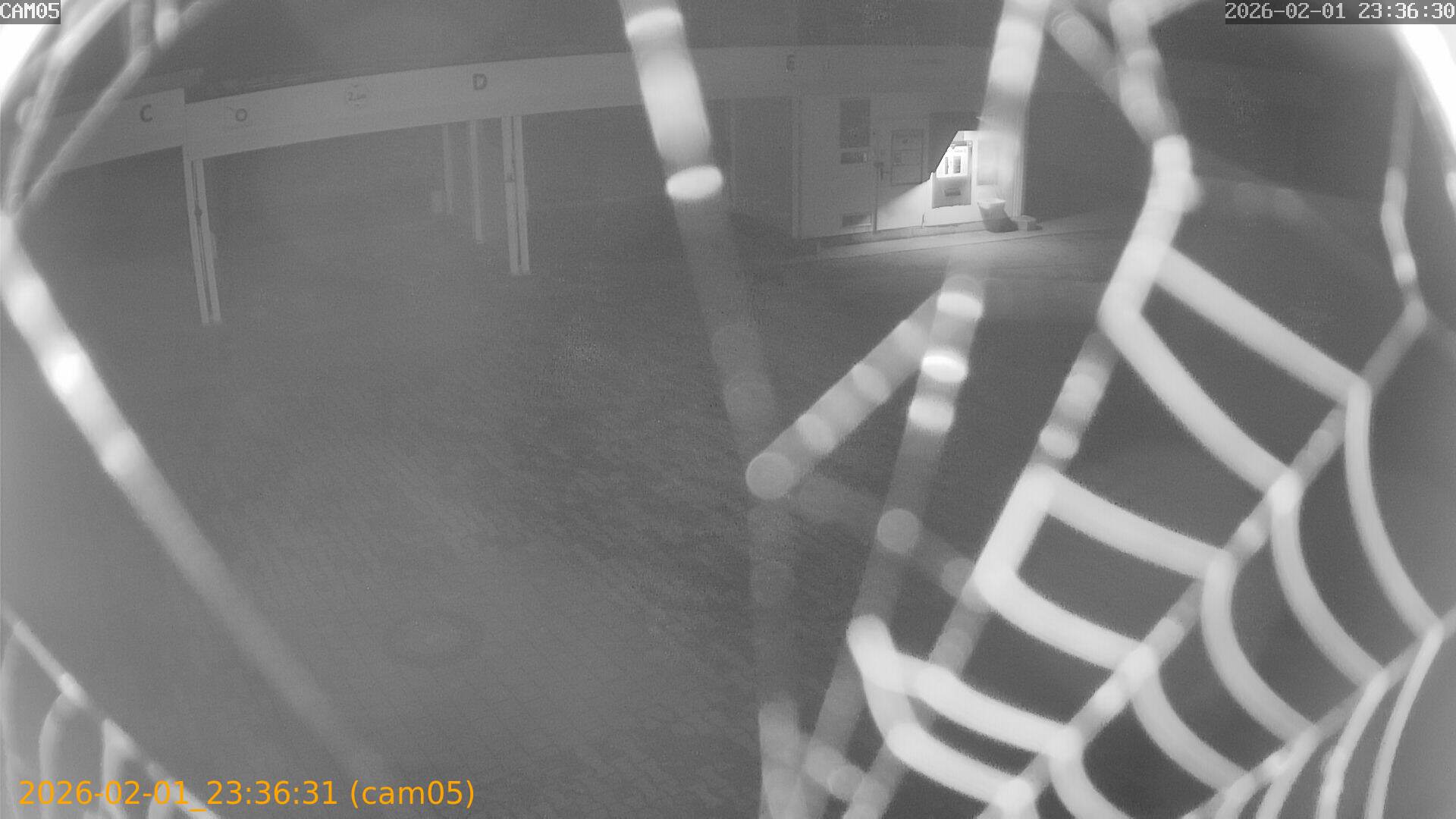 thumbnail_20260201233631