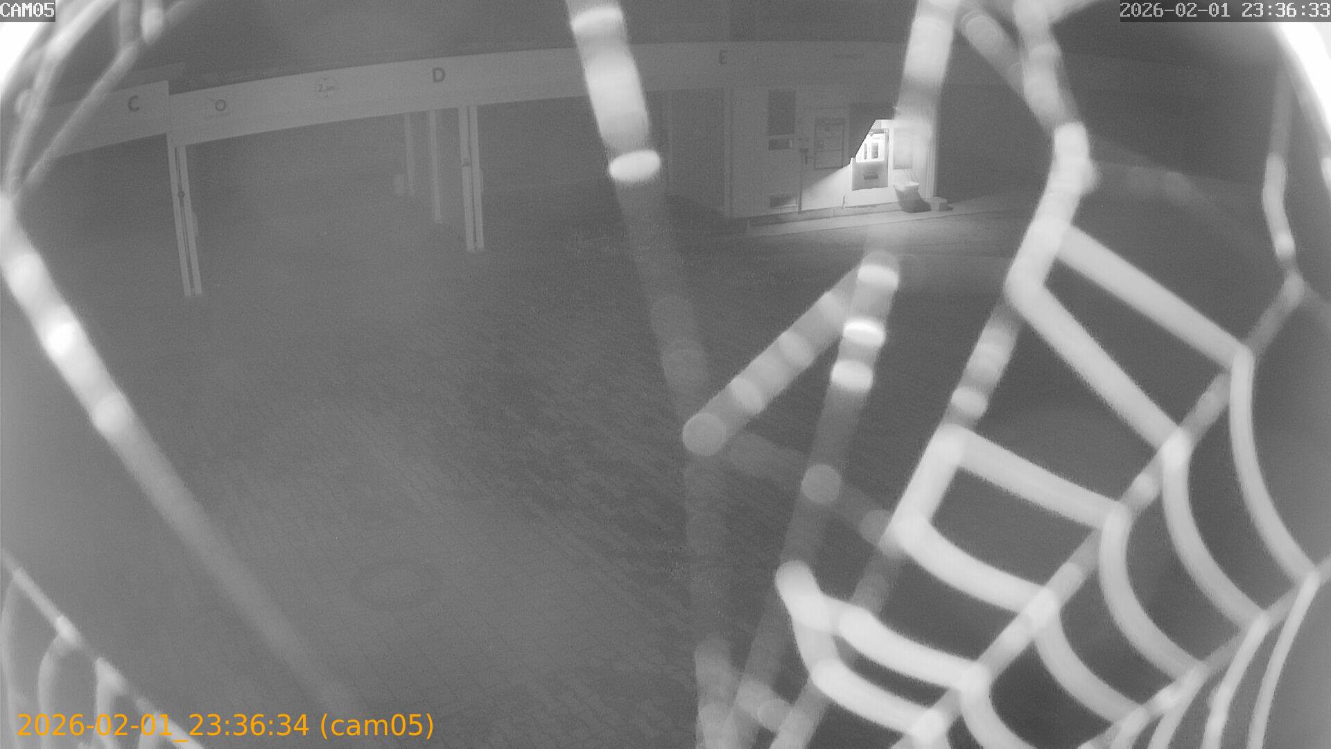 thumbnail_20260201233634