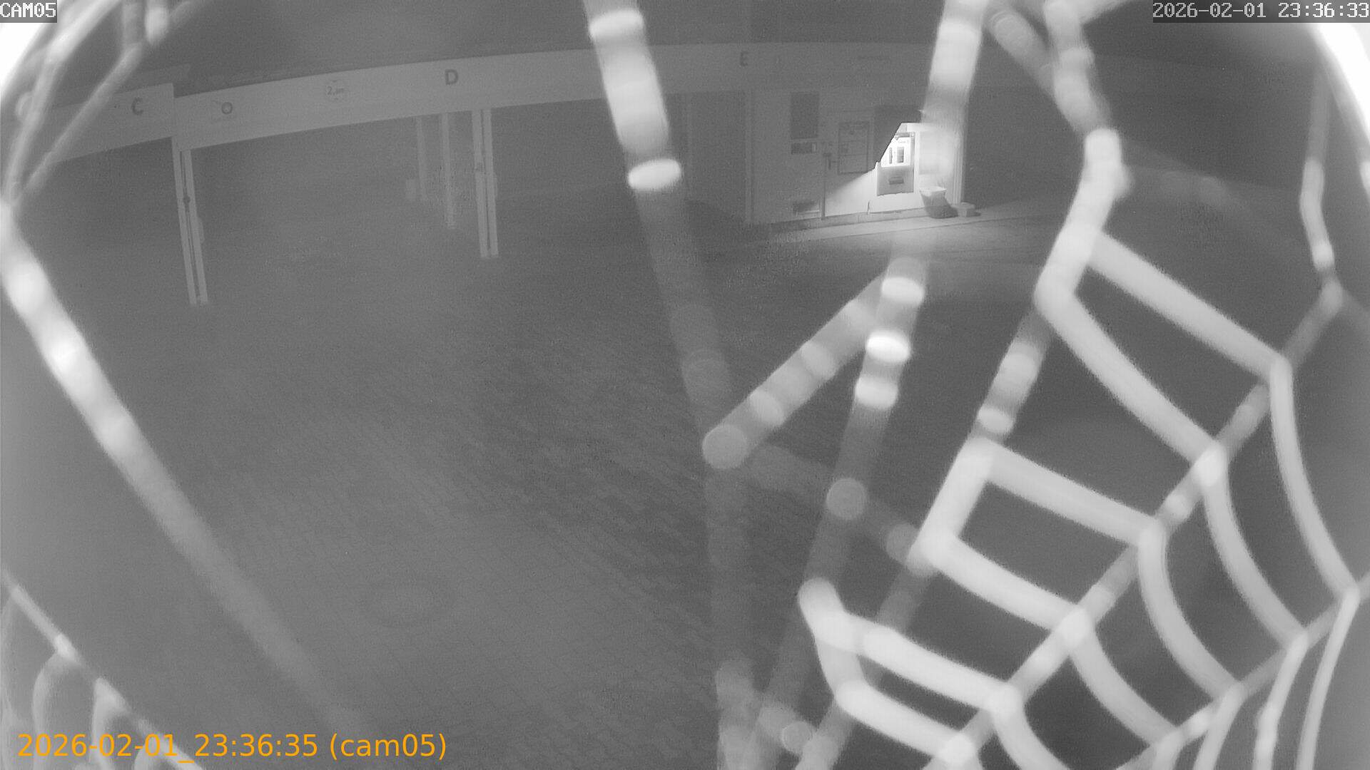 thumbnail_20260201233635