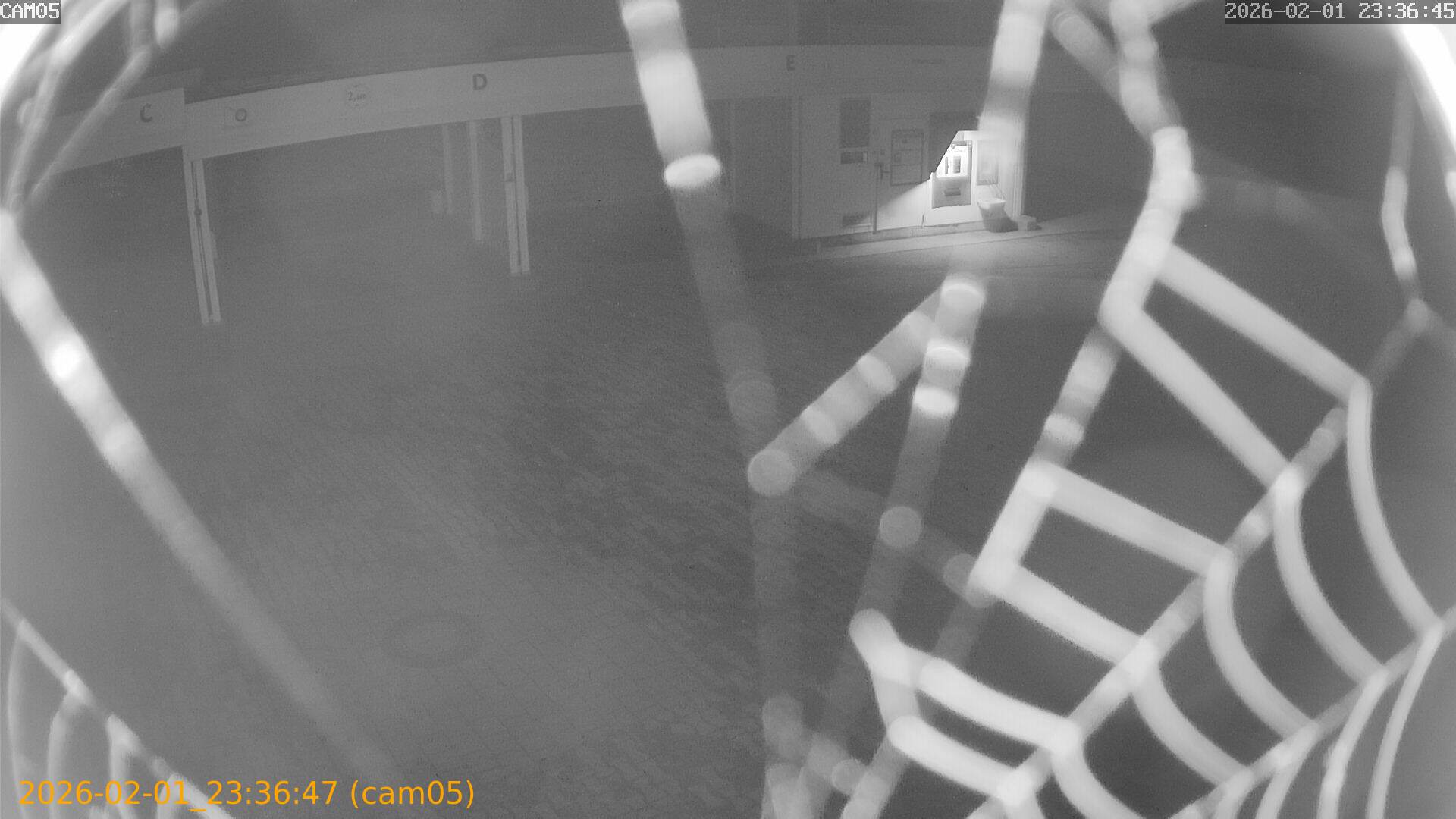 thumbnail_20260201233647