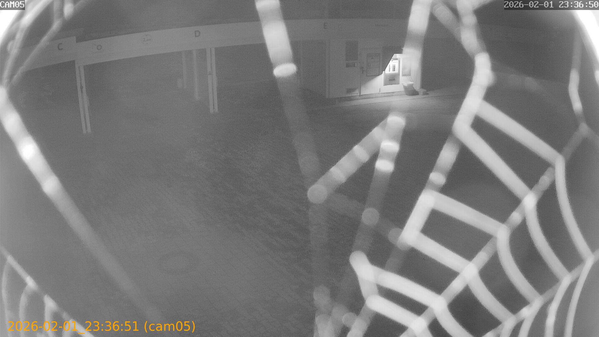 thumbnail_20260201233651