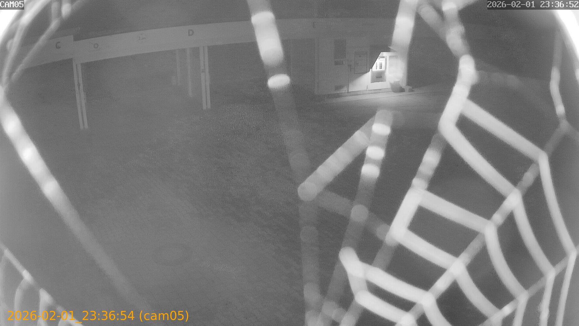 thumbnail_20260201233654