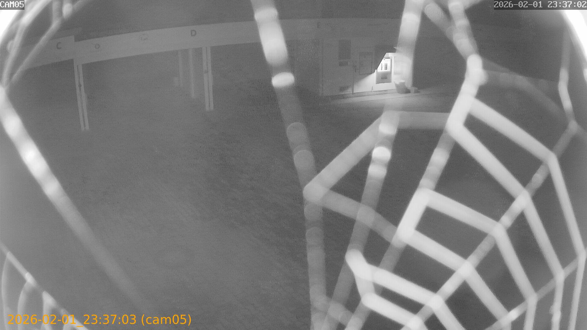 thumbnail_20260201233703