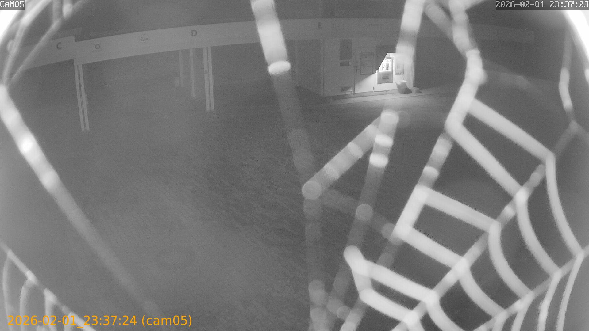 thumbnail_20260201233724