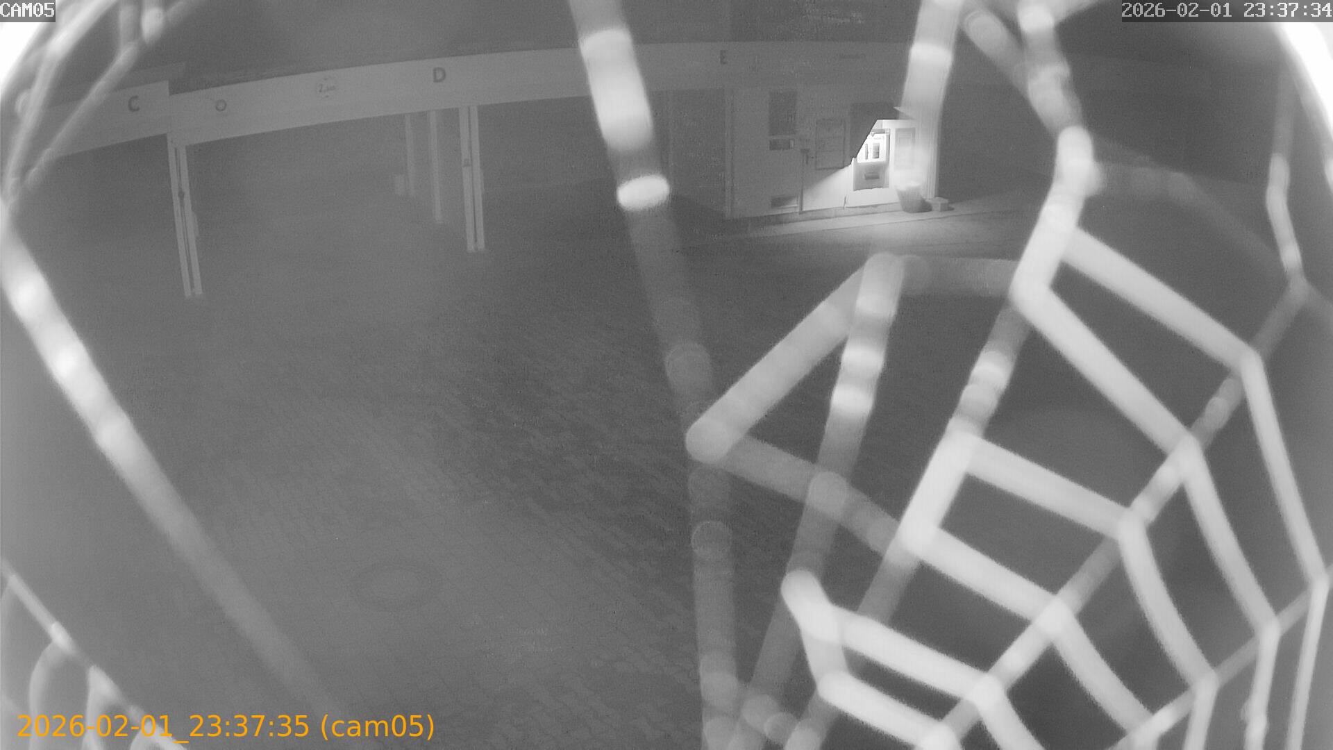 thumbnail_20260201233735