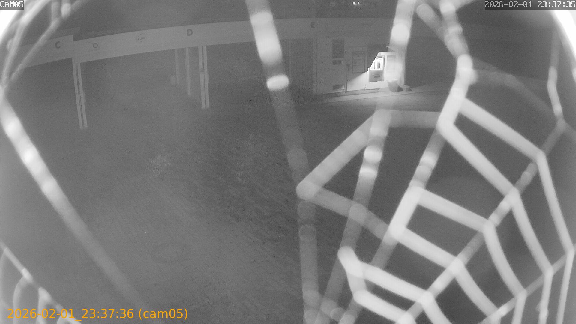 thumbnail_20260201233736