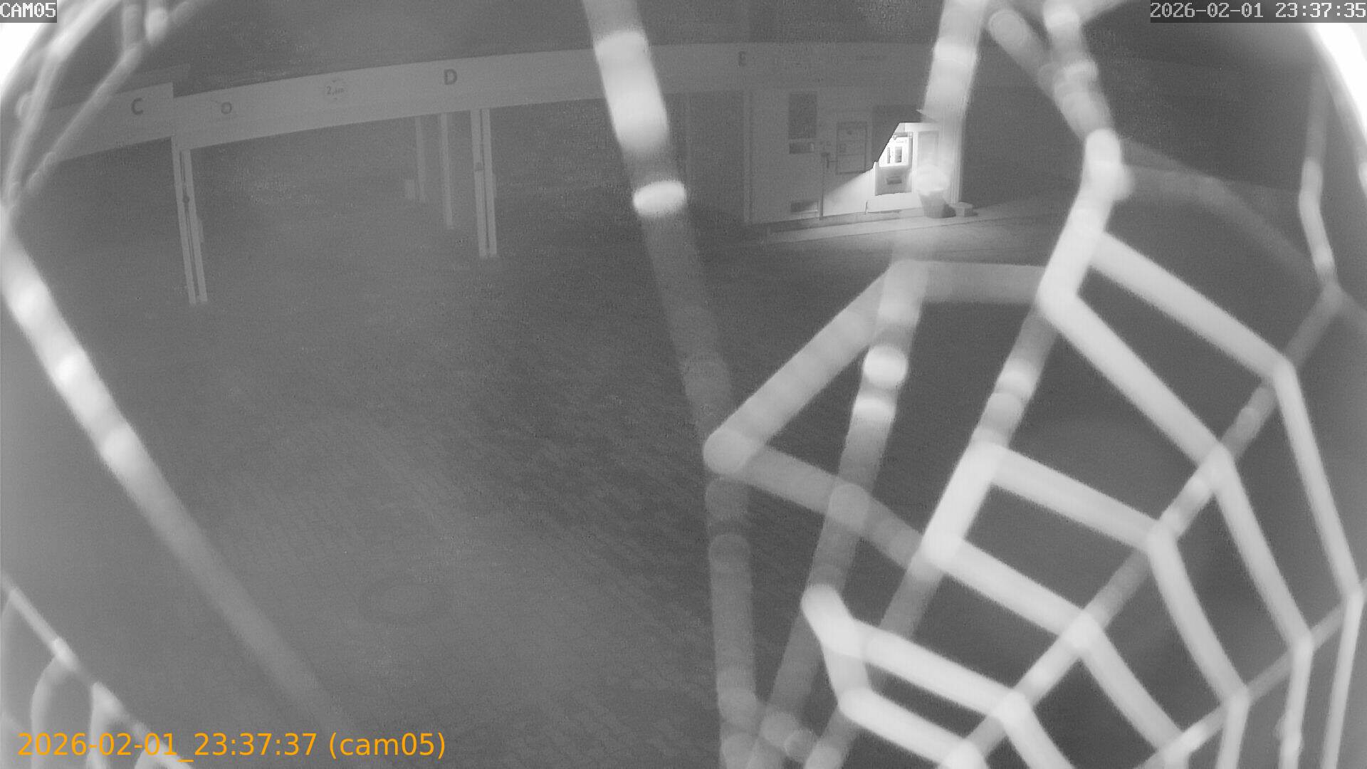 thumbnail_20260201233737