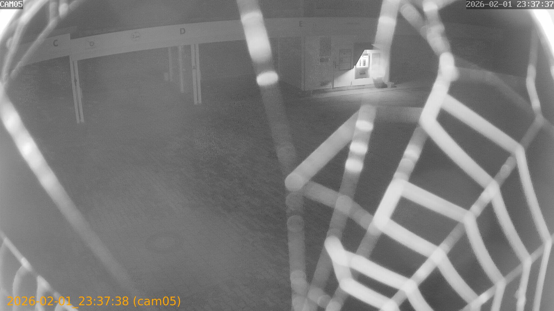 thumbnail_20260201233738