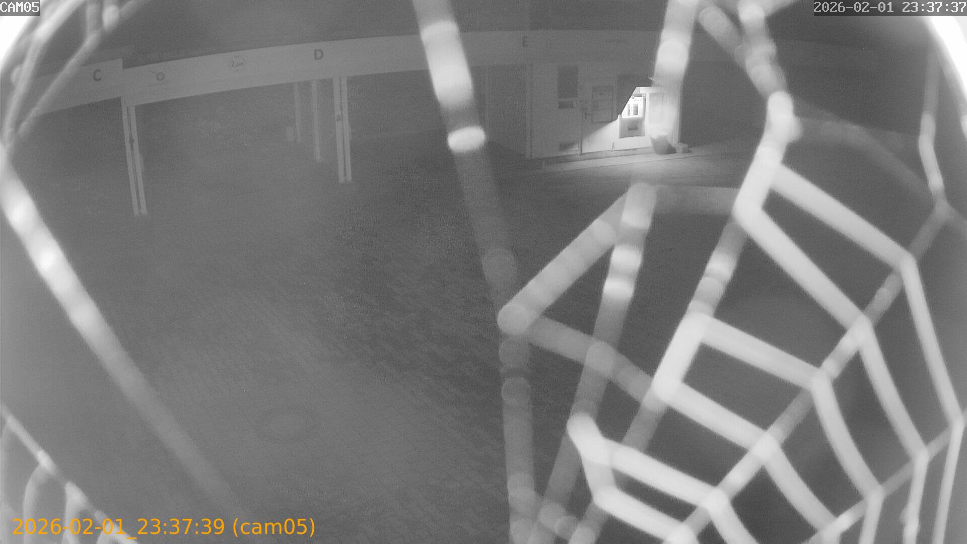 thumbnail_20260201233739