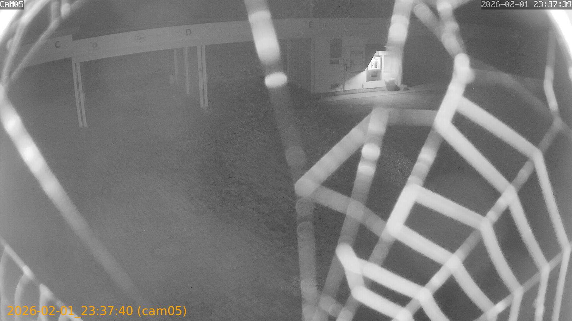 thumbnail_20260201233740