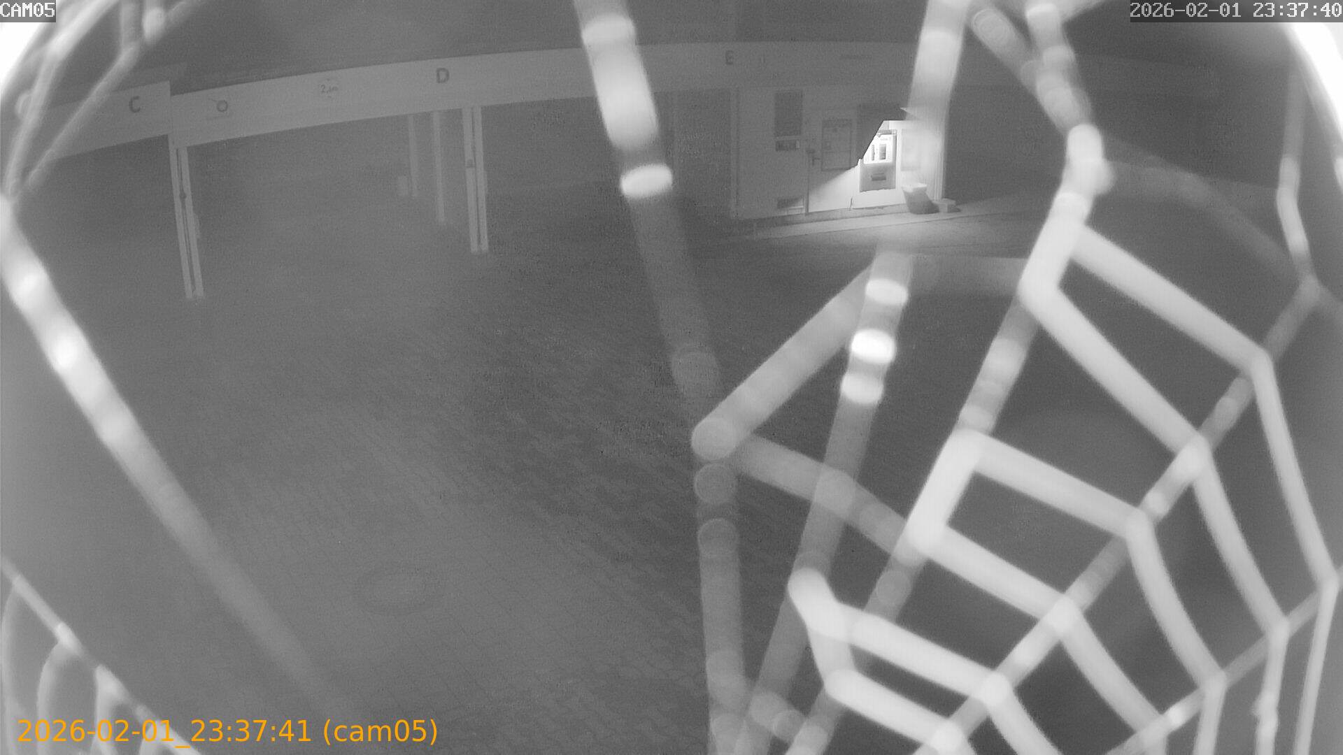 thumbnail_20260201233741