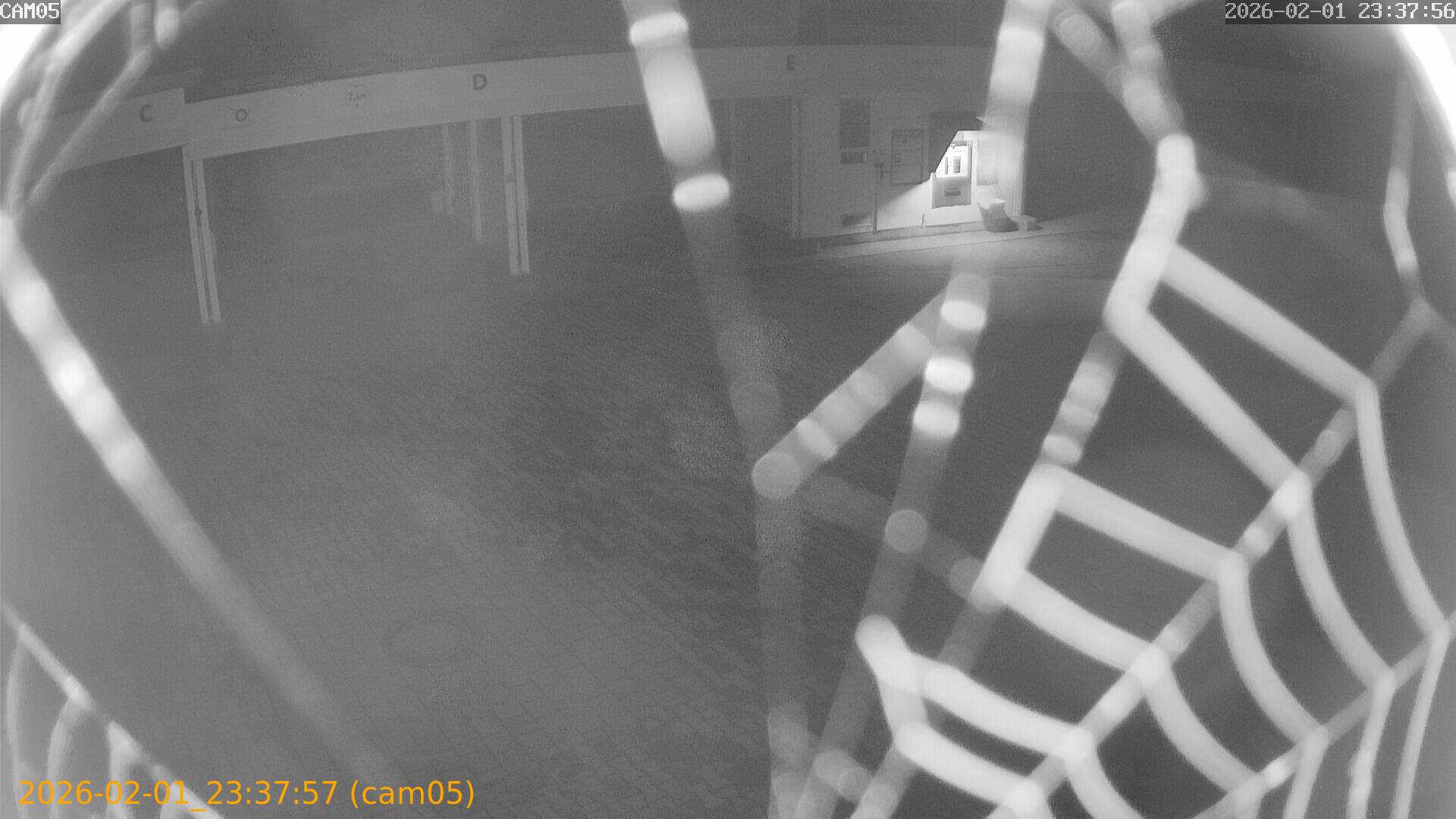 thumbnail_20260201233757