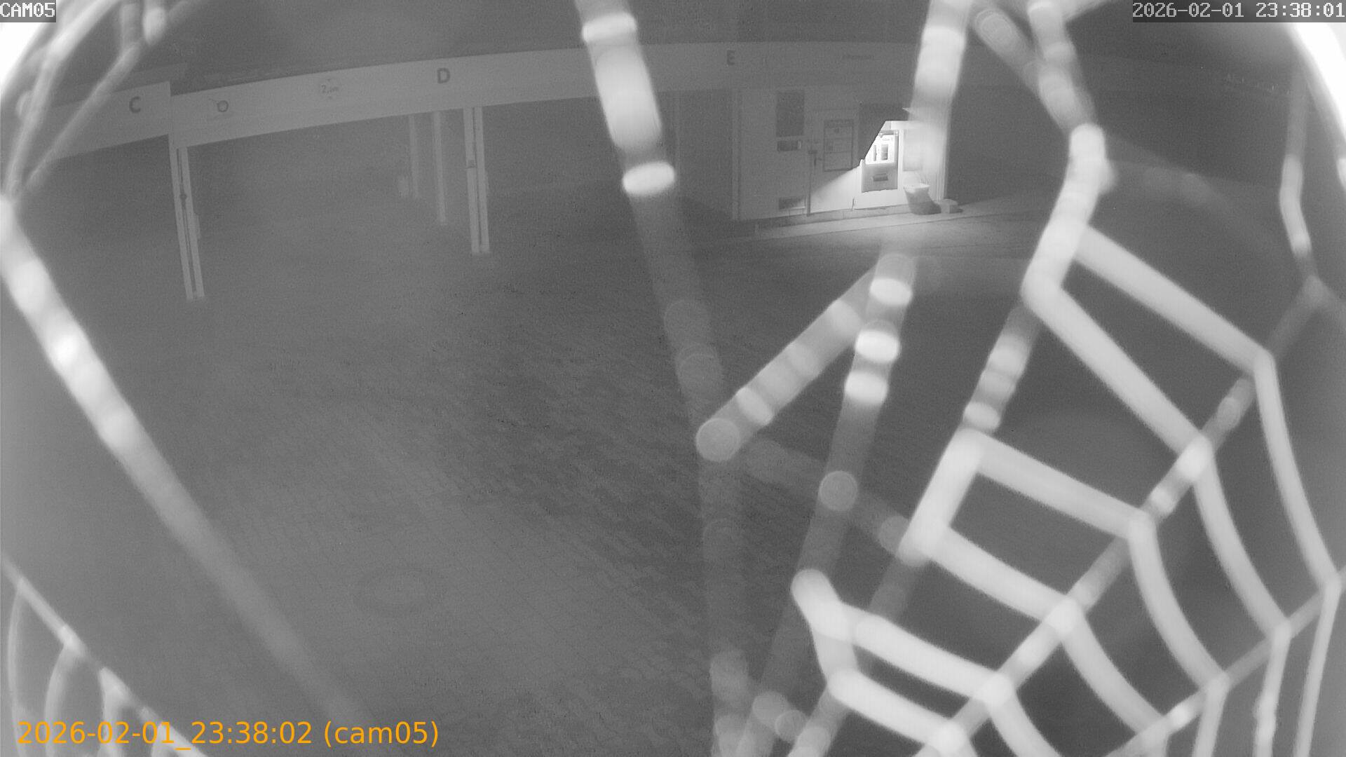 thumbnail_20260201233802