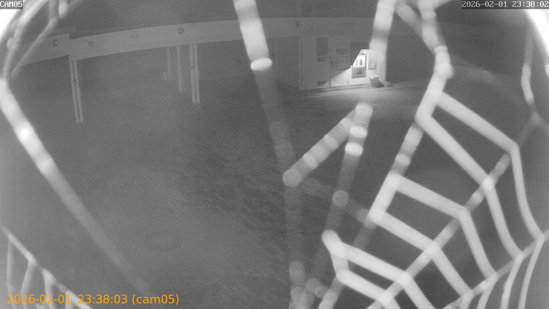 thumbnail_20260201233803