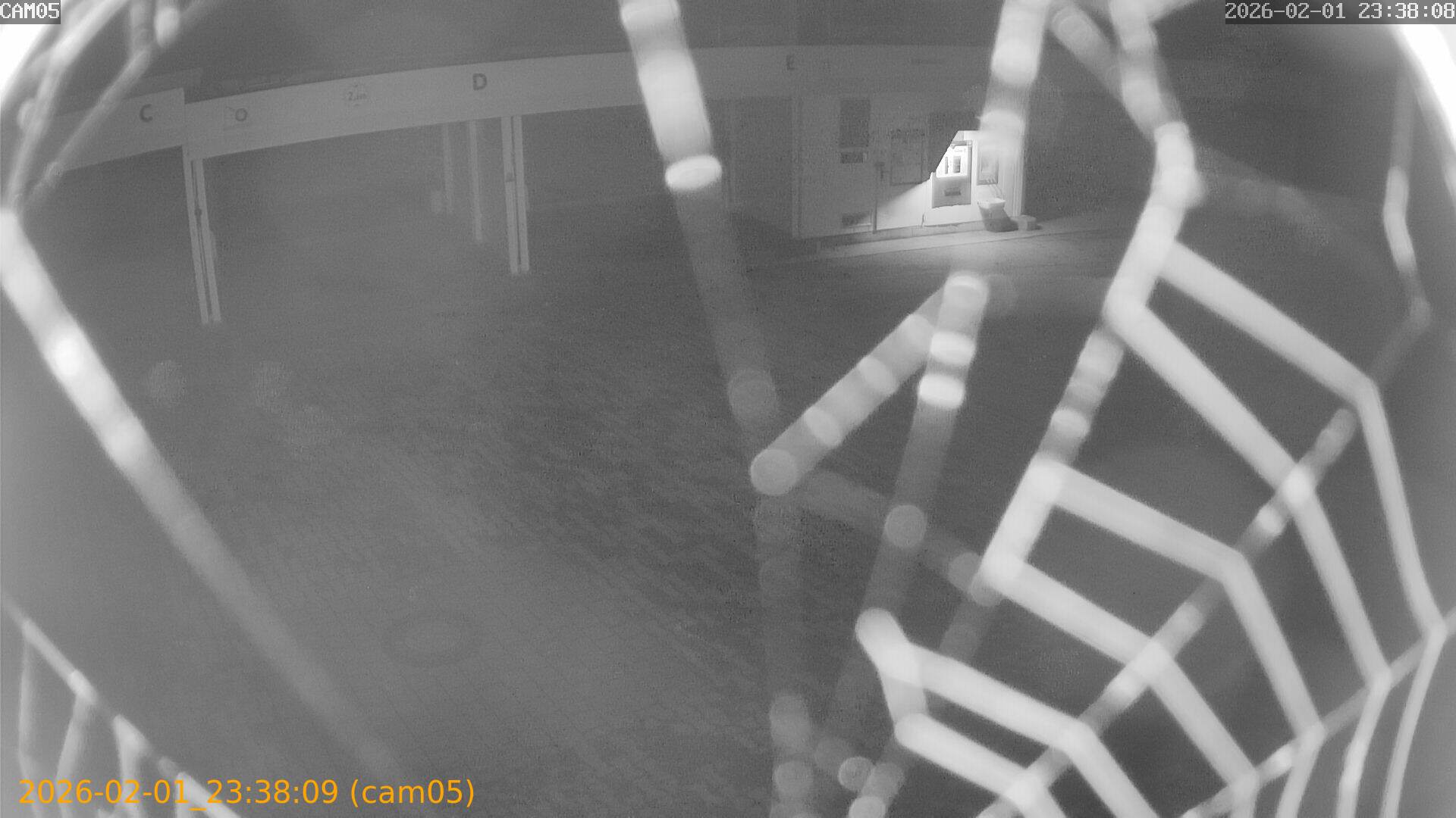 thumbnail_20260201233809