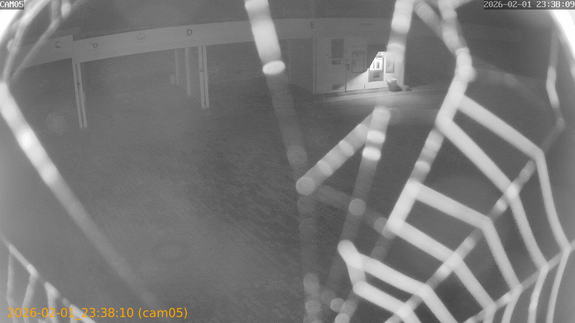 thumbnail_20260201233810