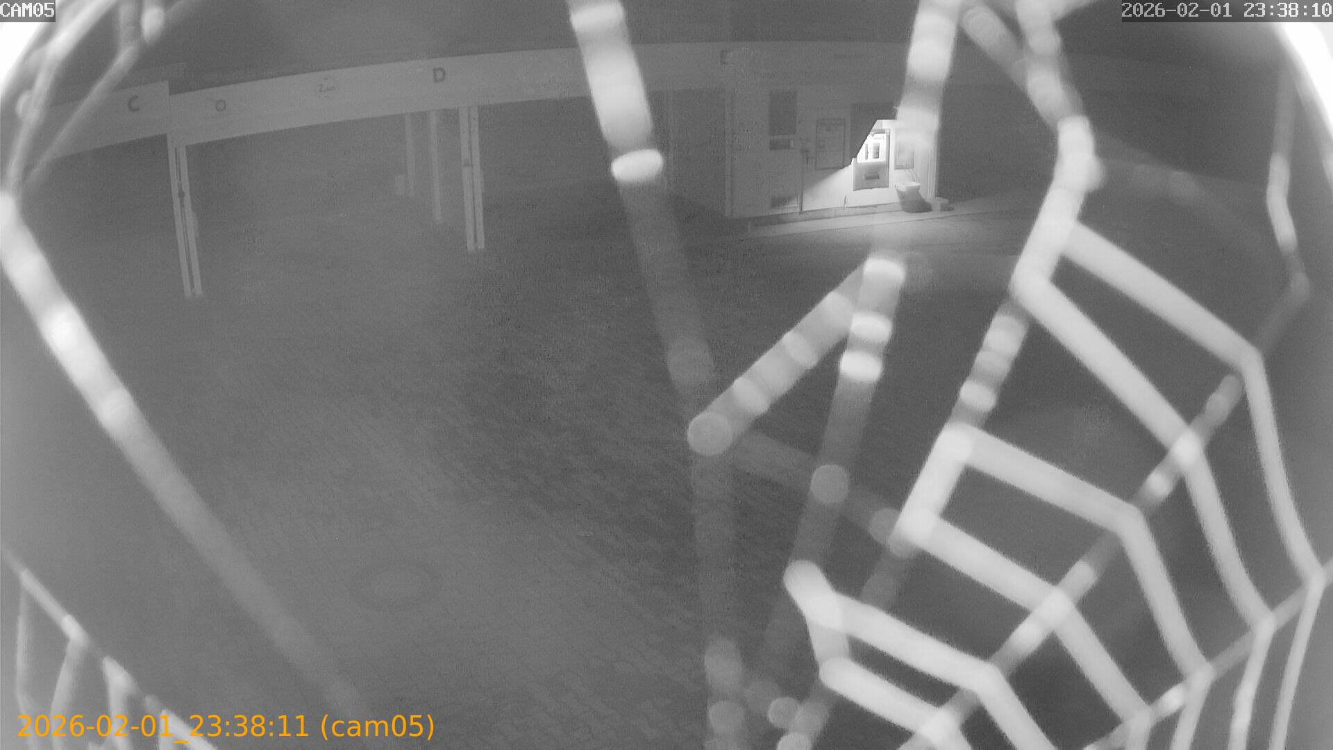 thumbnail_20260201233811