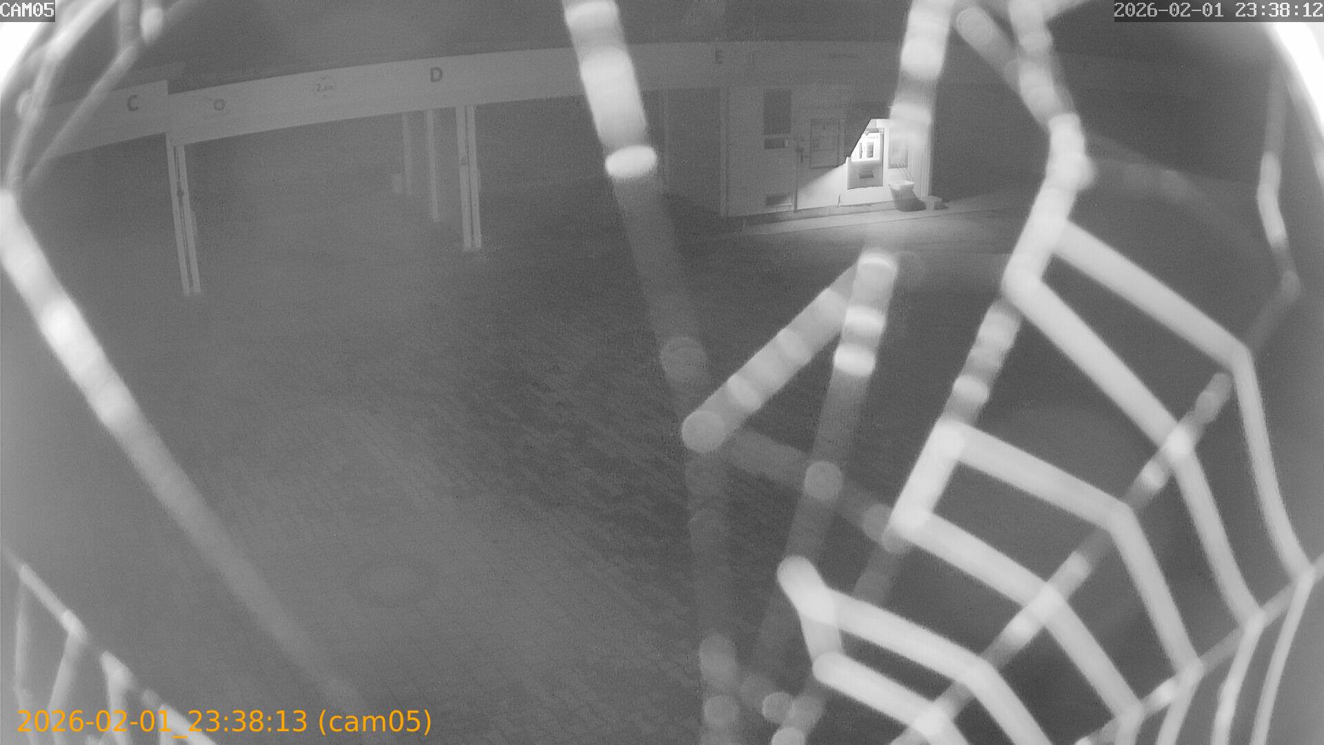 thumbnail_20260201233813