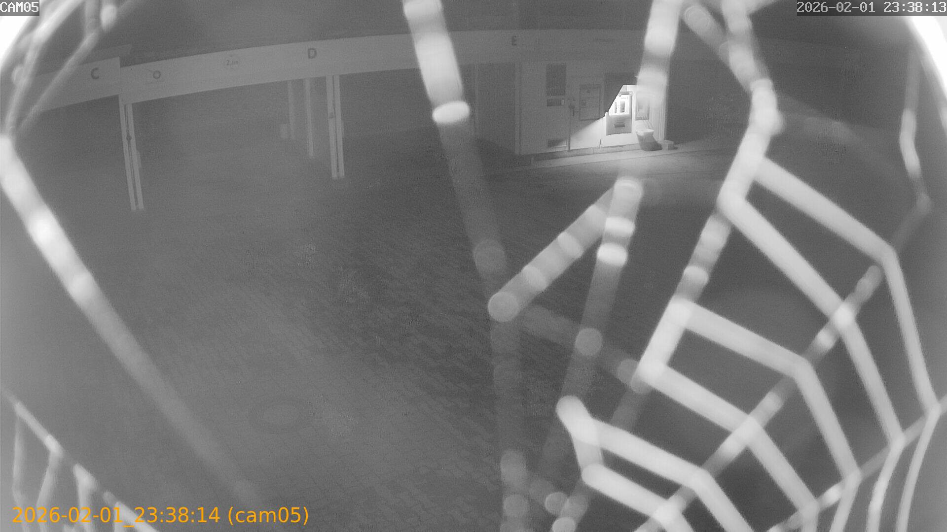 thumbnail_20260201233814