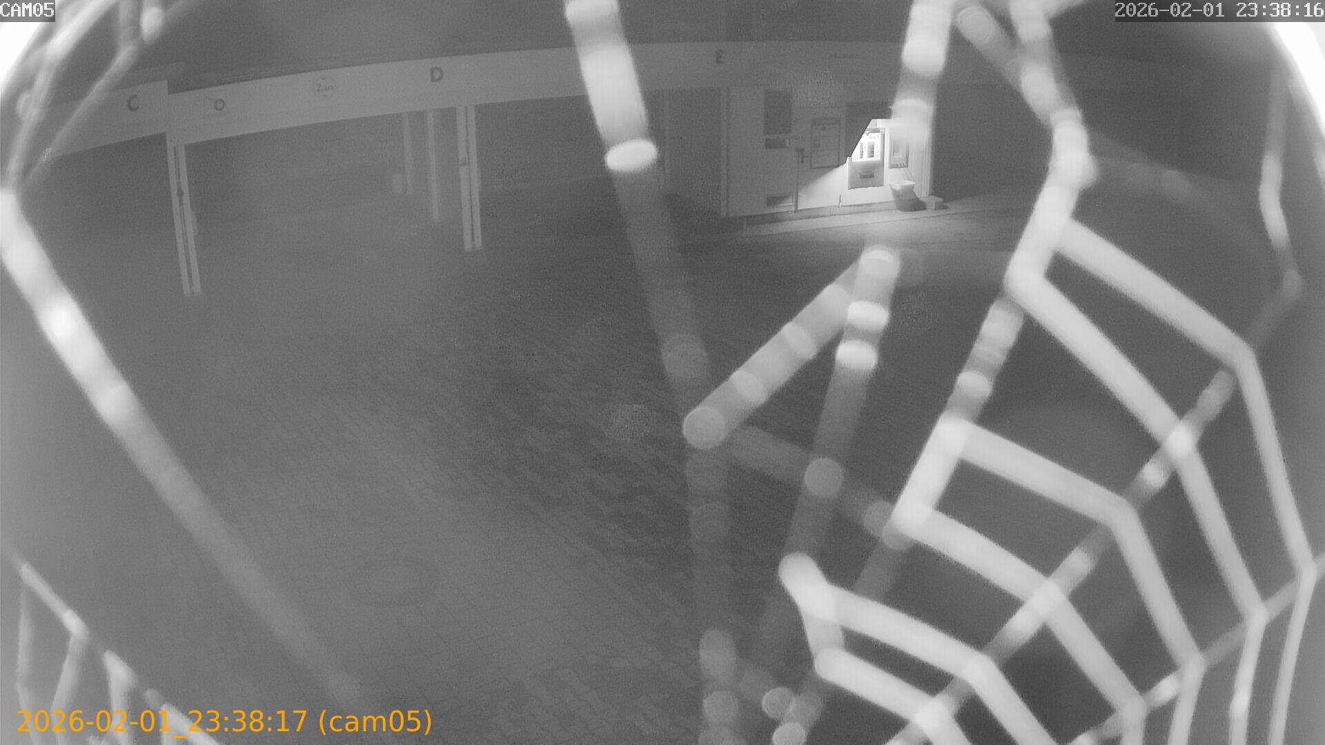 thumbnail_20260201233817