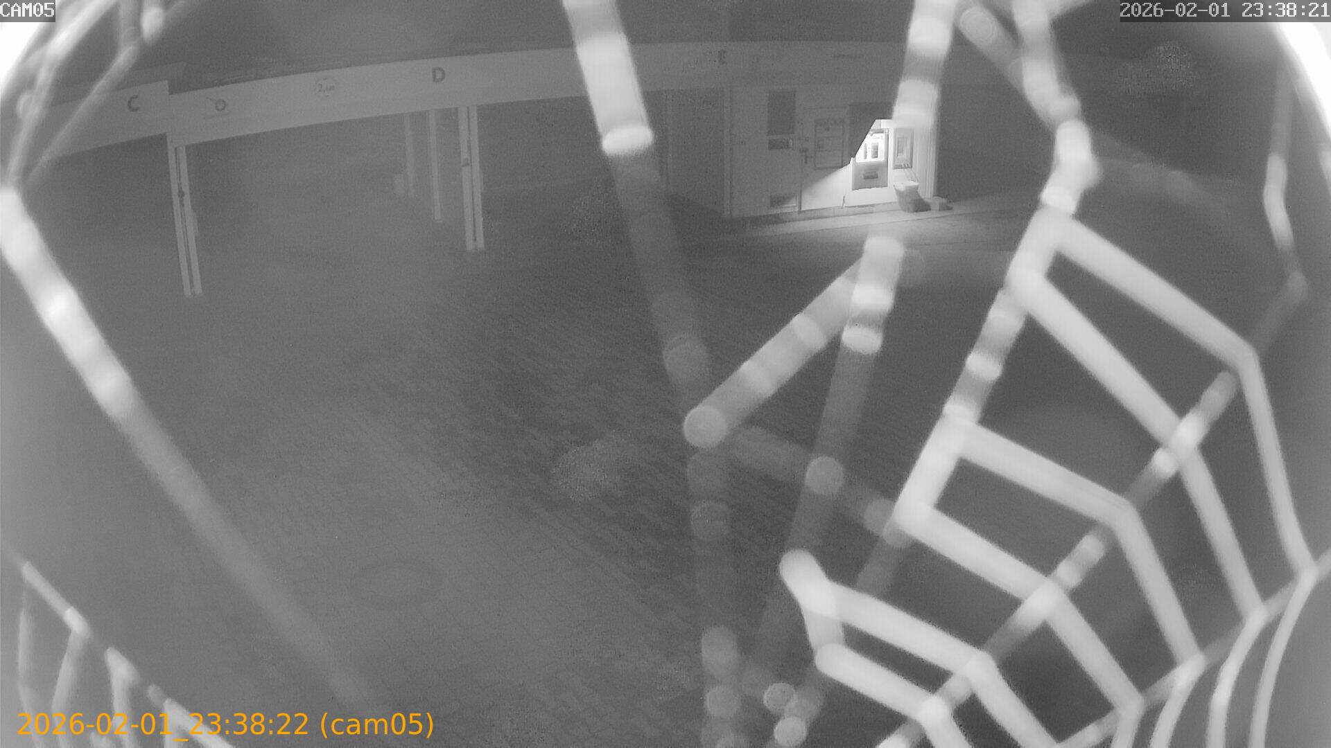 thumbnail_20260201233822