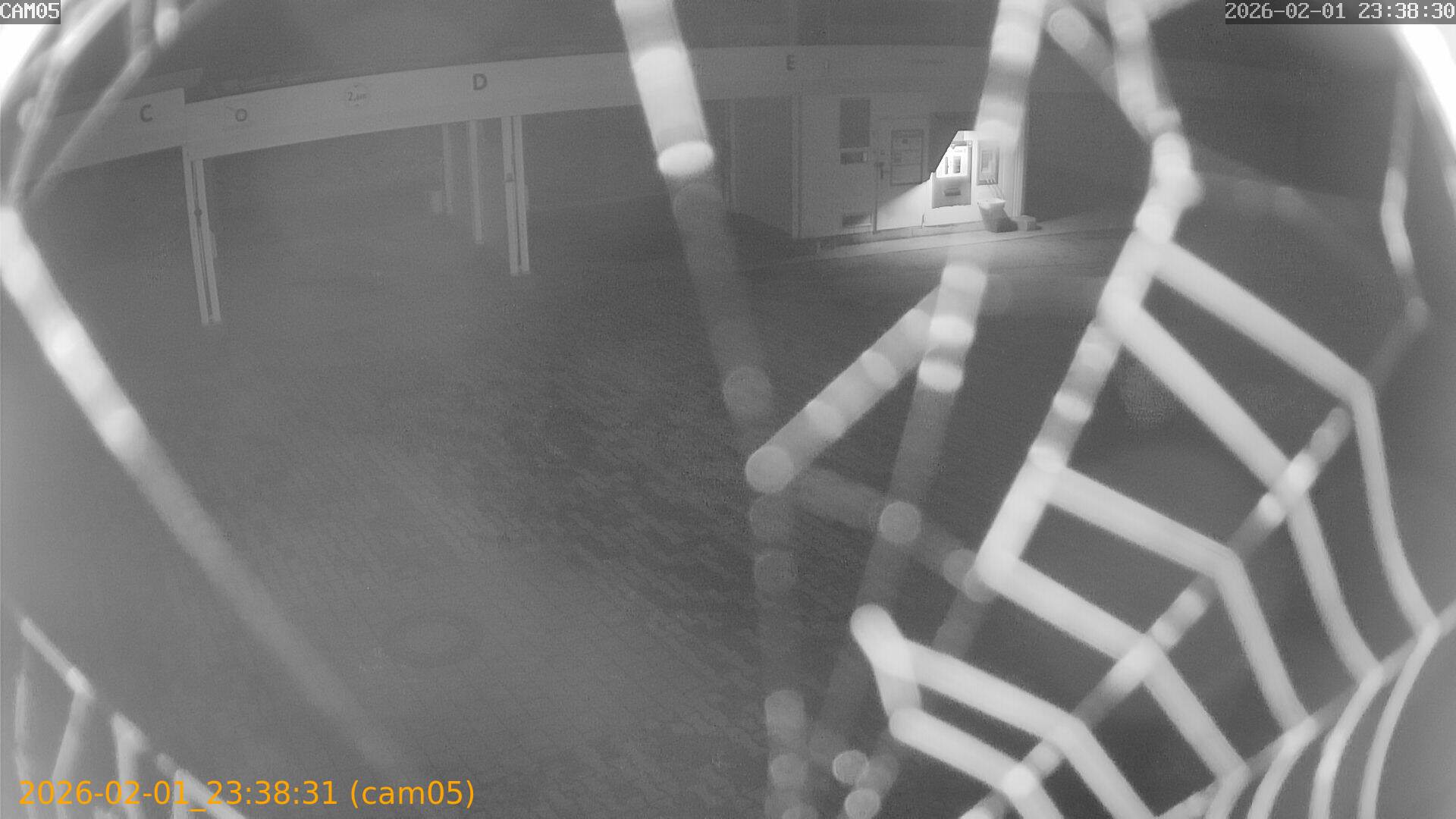 thumbnail_20260201233831