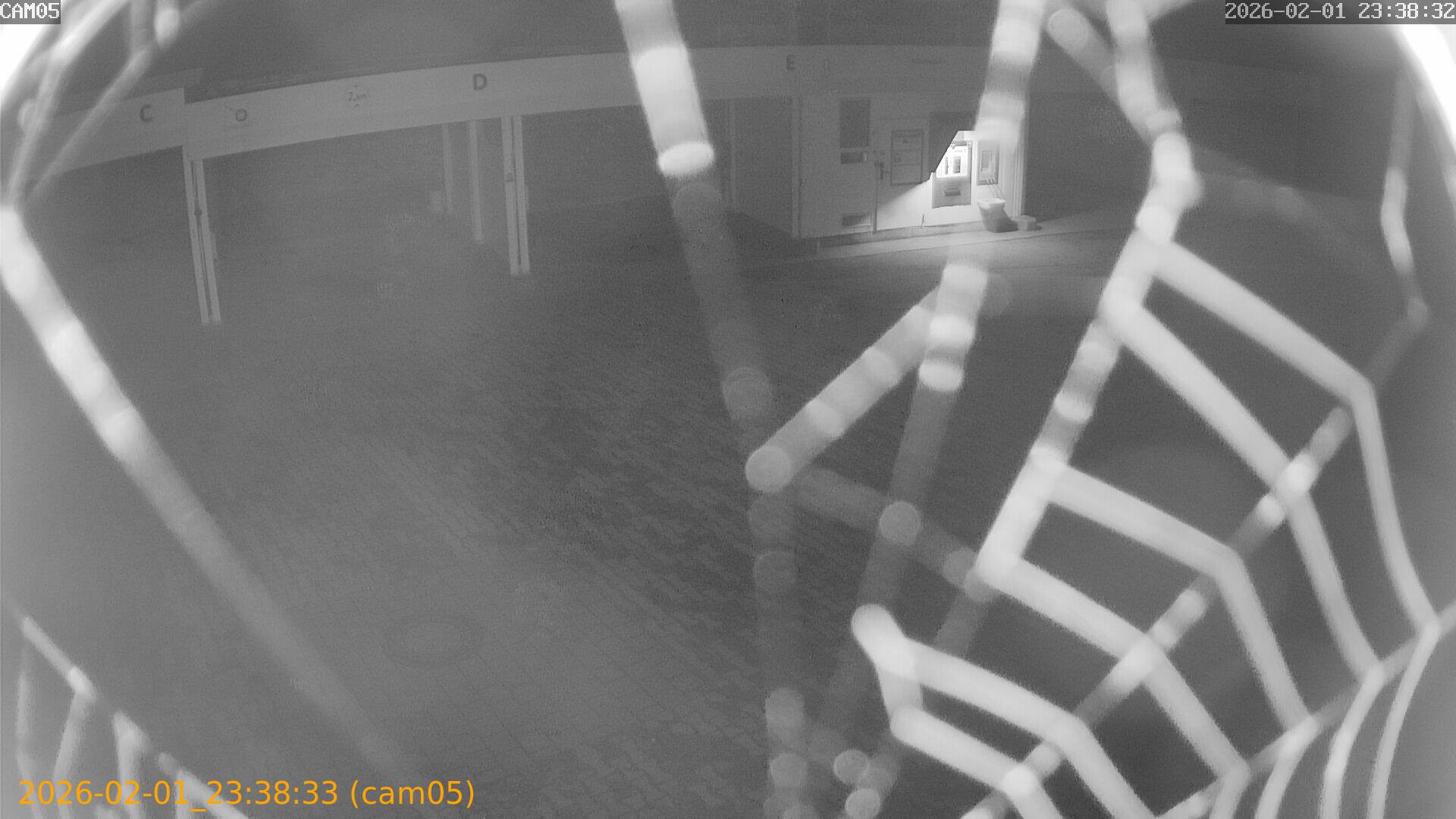 thumbnail_20260201233833