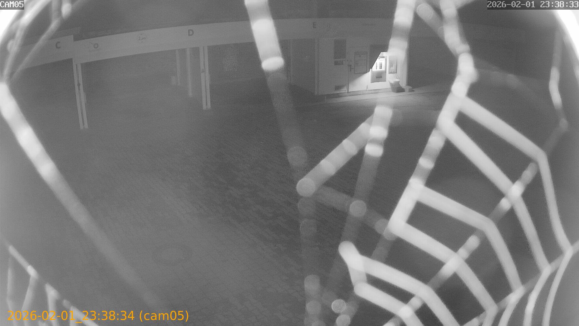 thumbnail_20260201233834