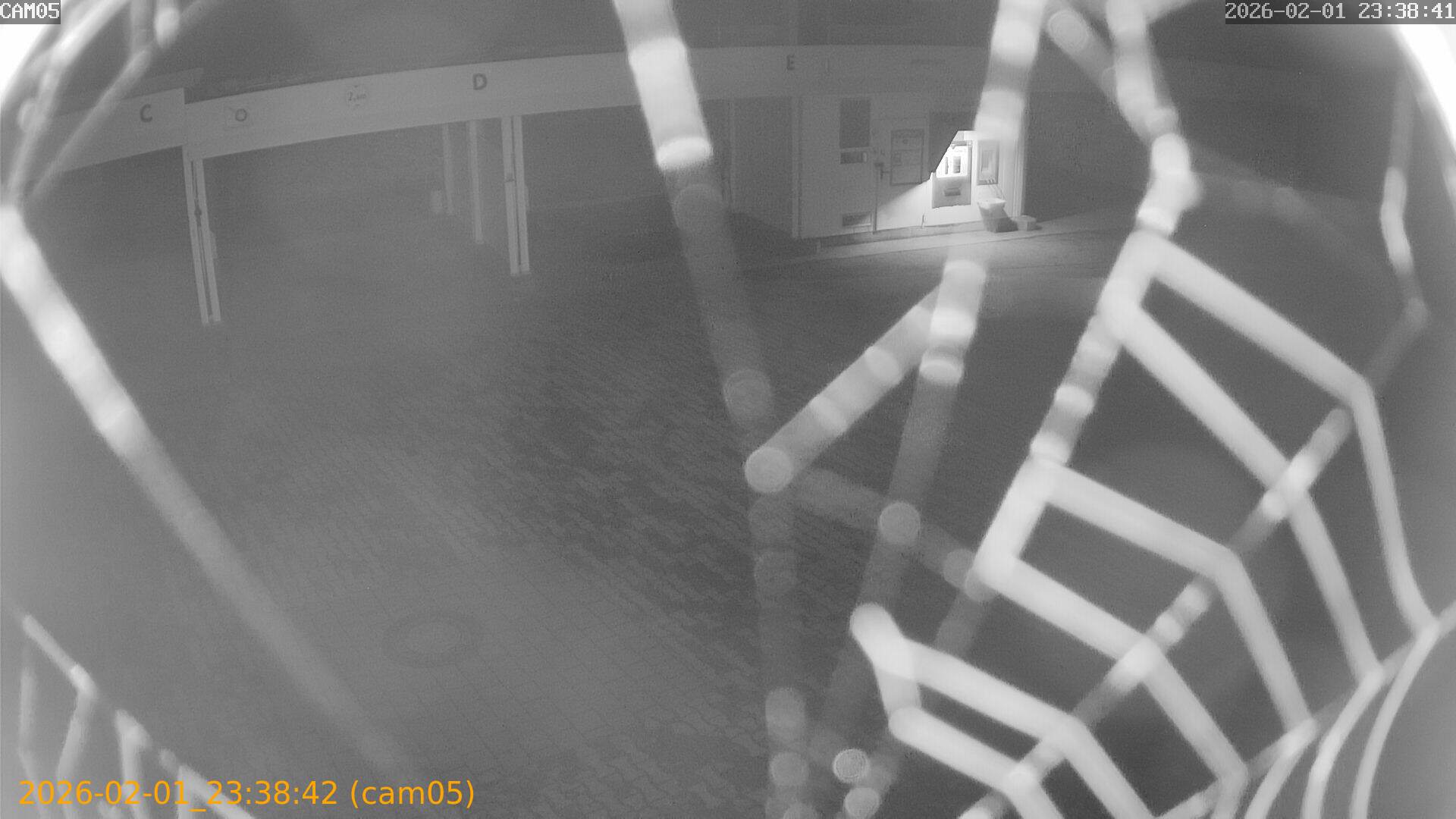 thumbnail_20260201233842