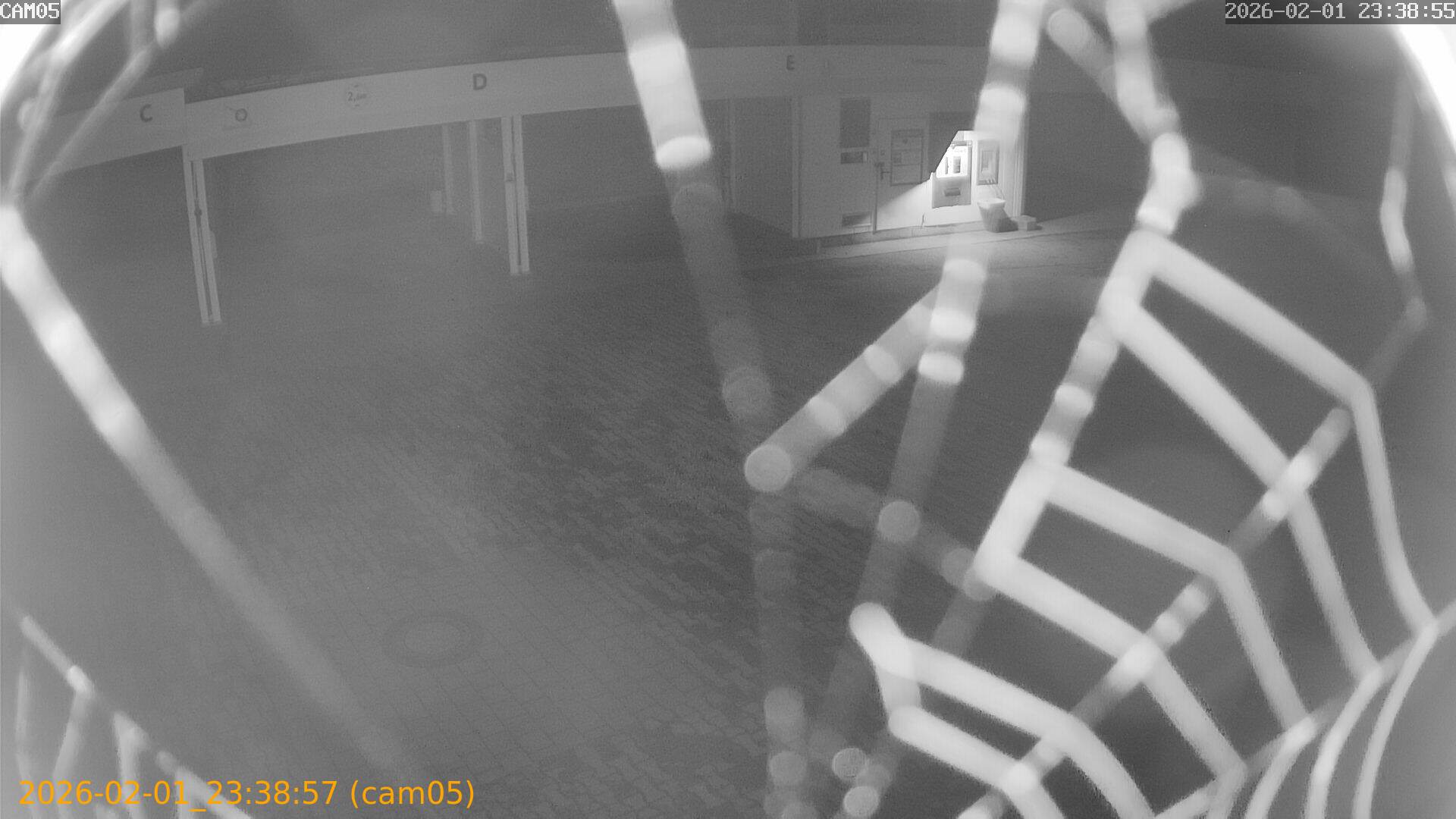 thumbnail_20260201233856