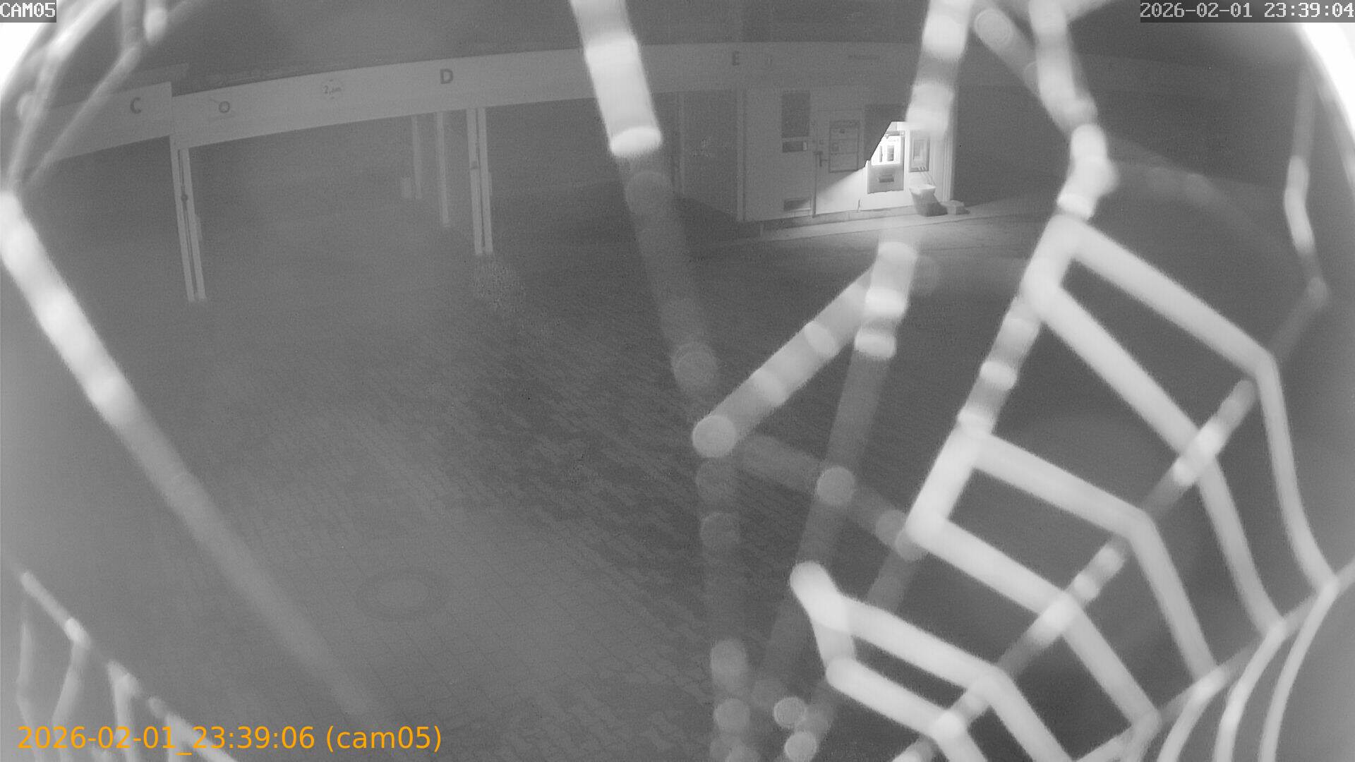 thumbnail_20260201233906