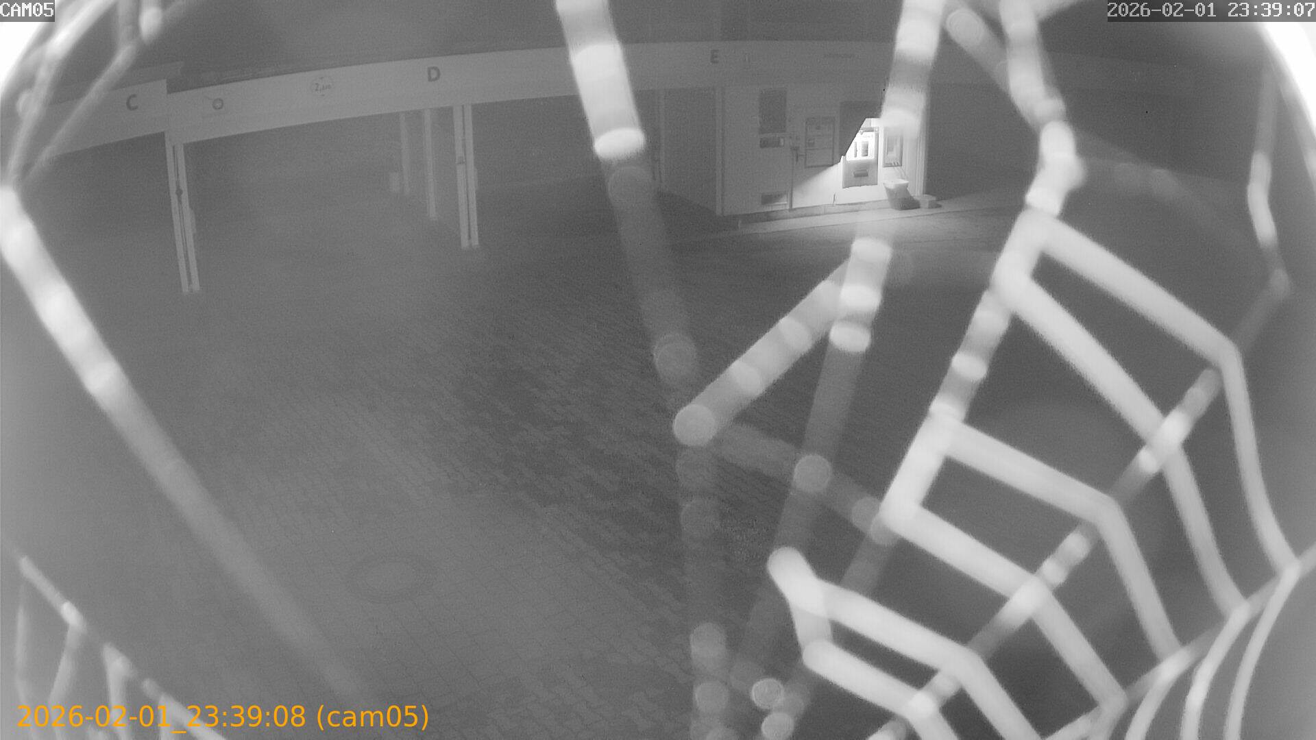 thumbnail_20260201233908