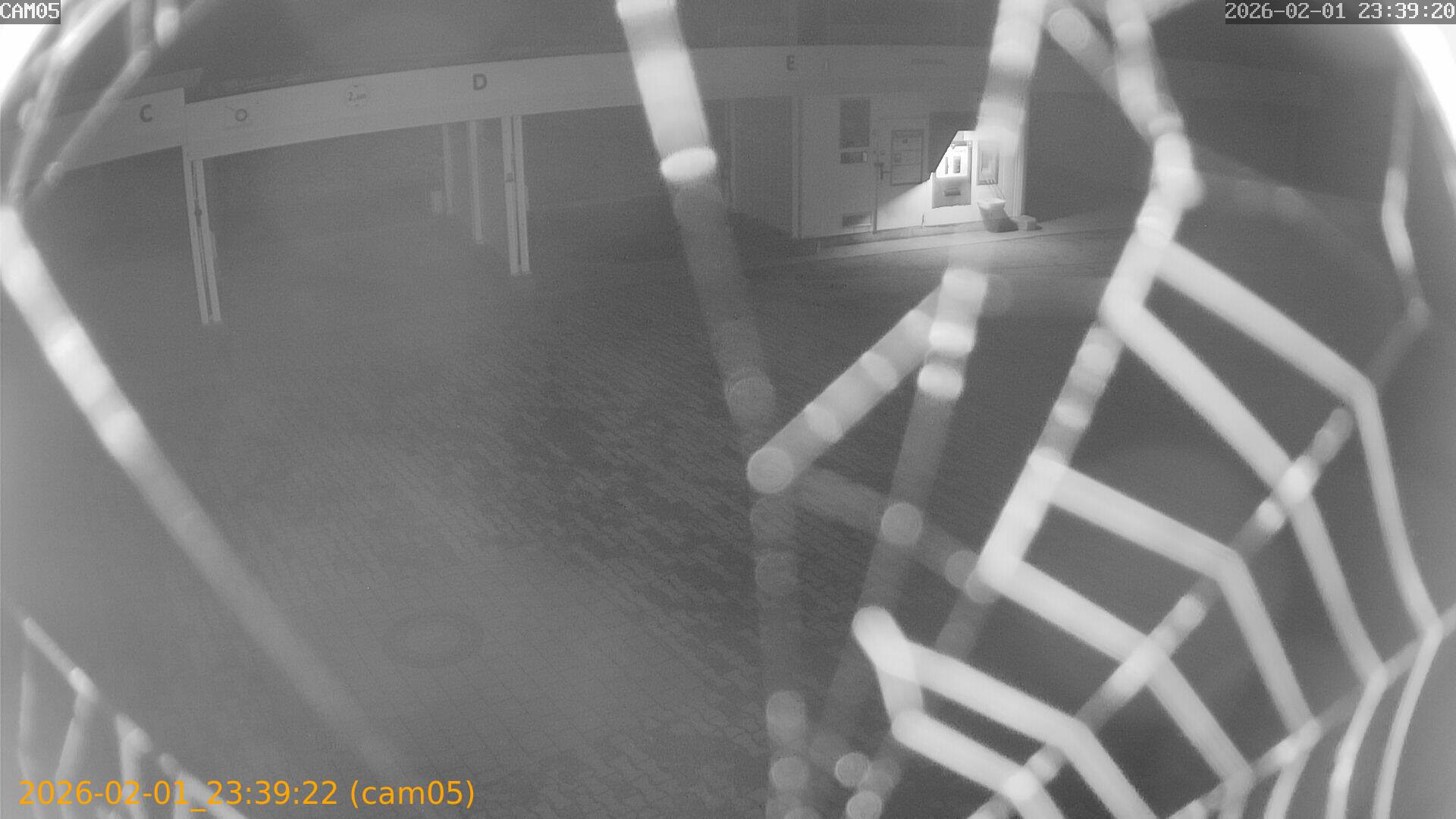 thumbnail_20260201233922