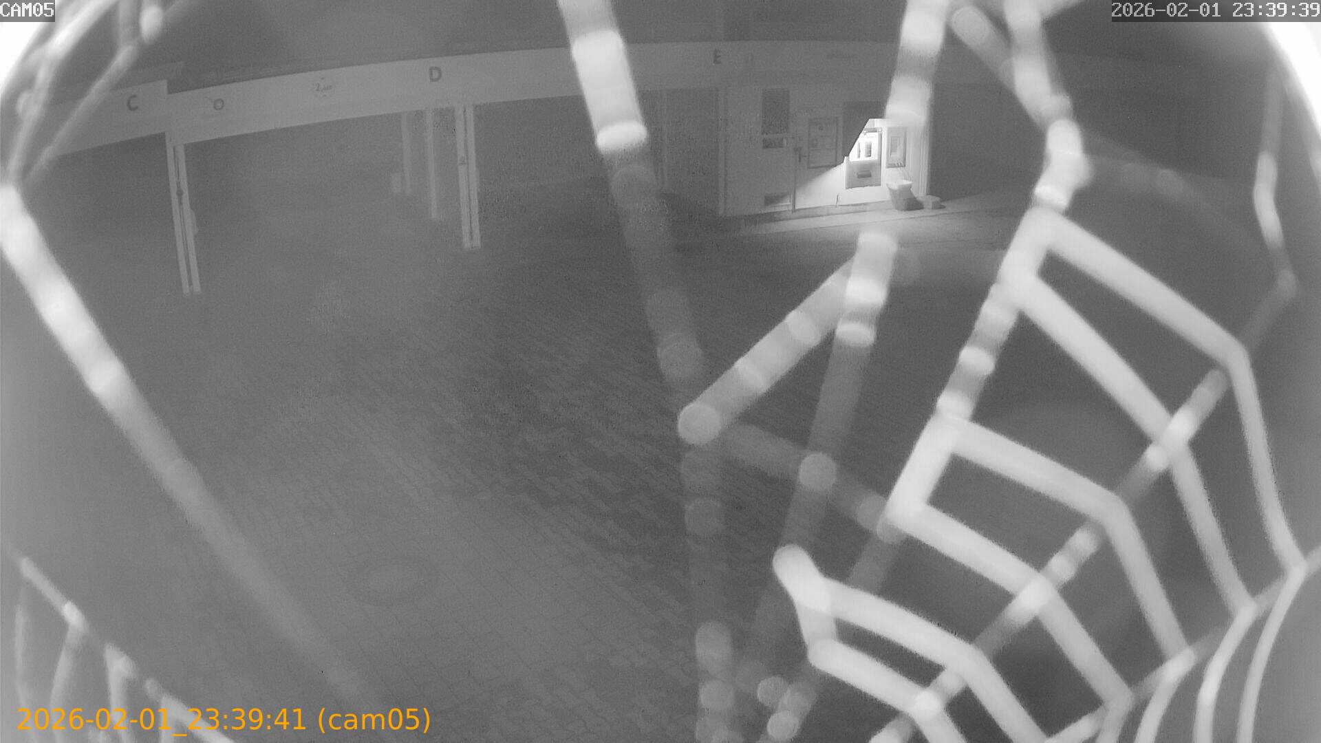 thumbnail_20260201233941