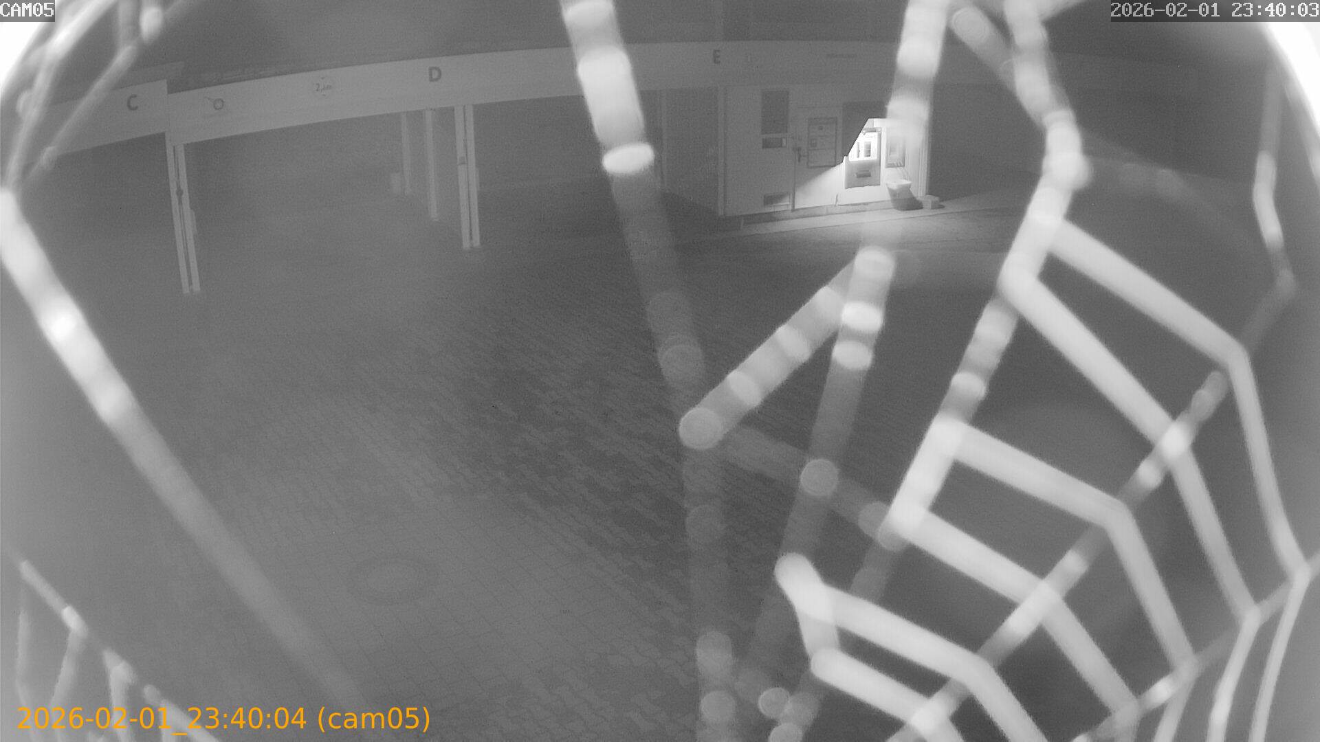 thumbnail_20260201234004