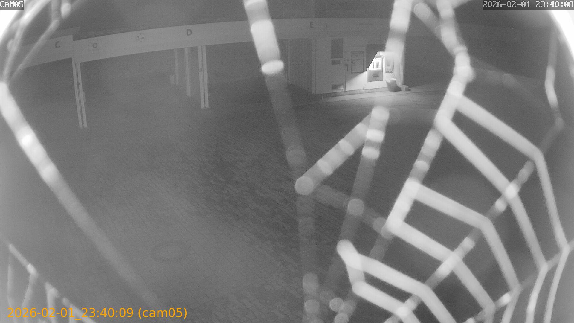 thumbnail_20260201234009