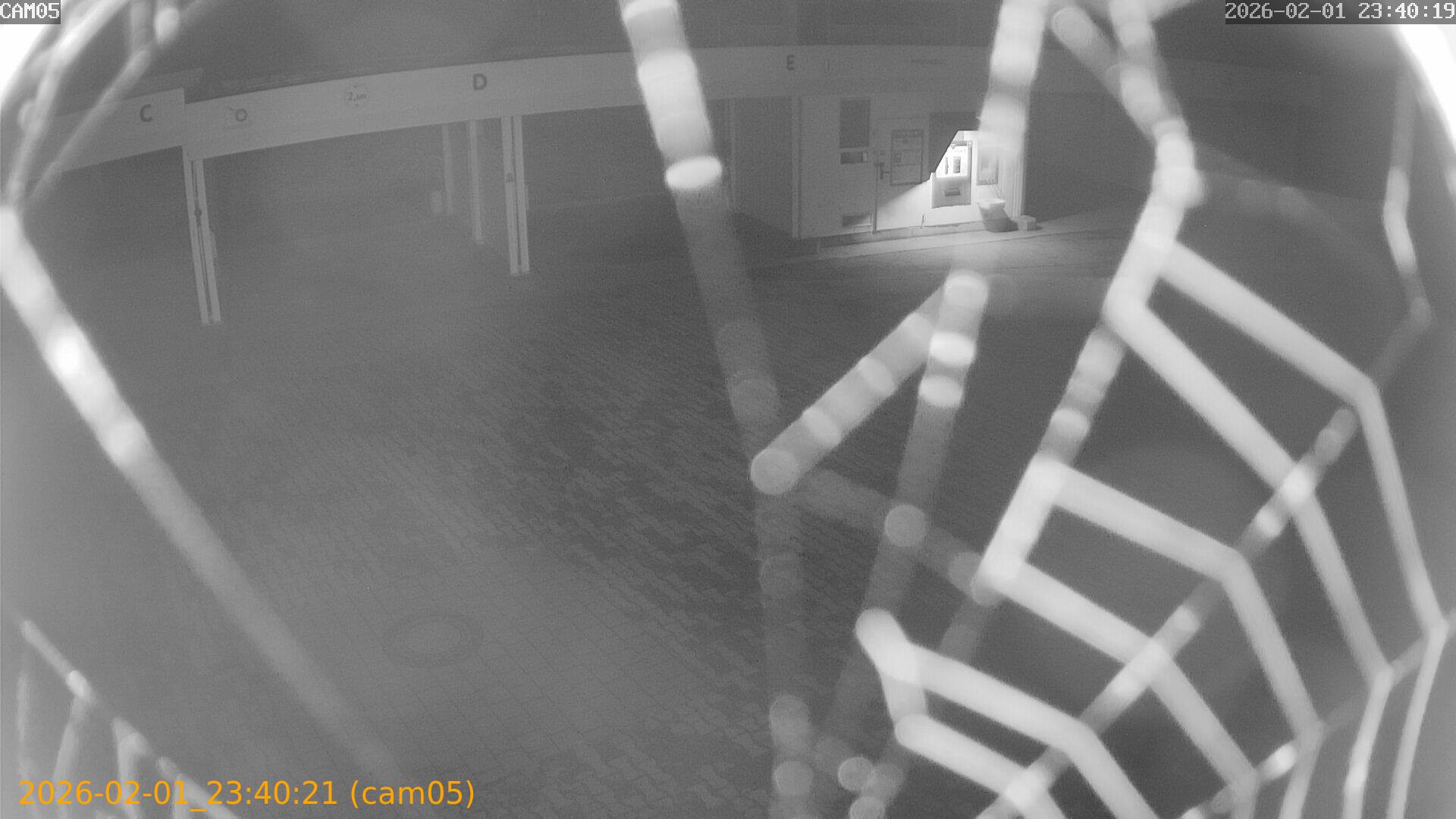 thumbnail_20260201234021