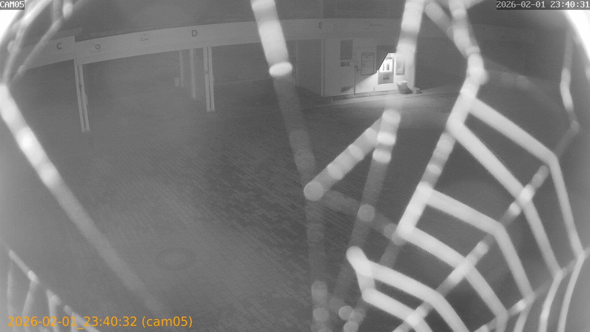 thumbnail_20260201234032