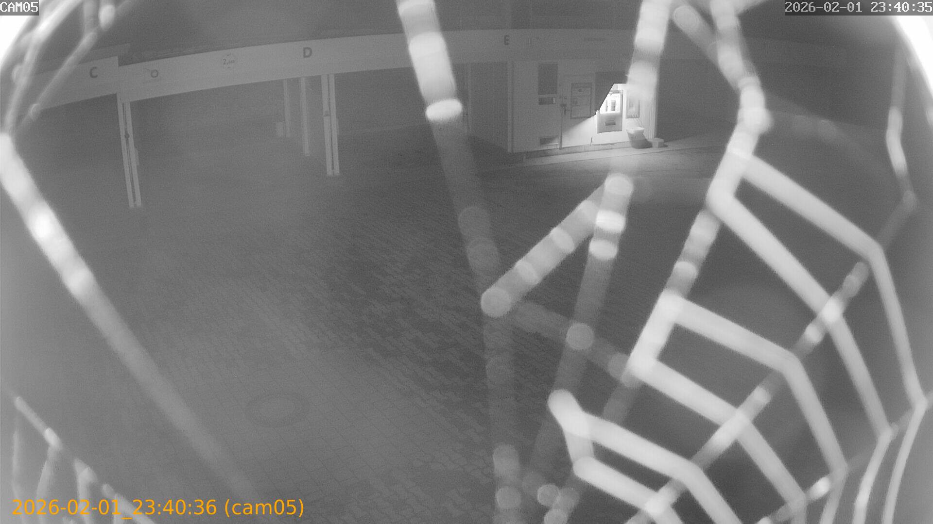 thumbnail_20260201234036