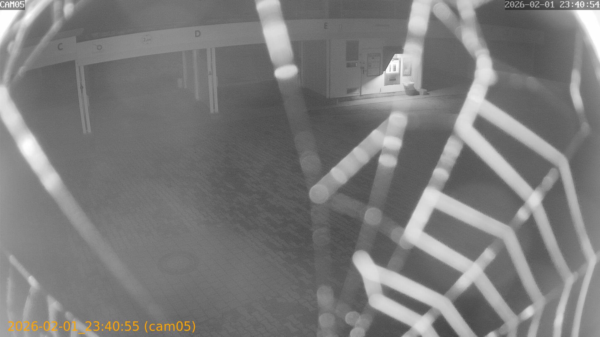 thumbnail_20260201234055