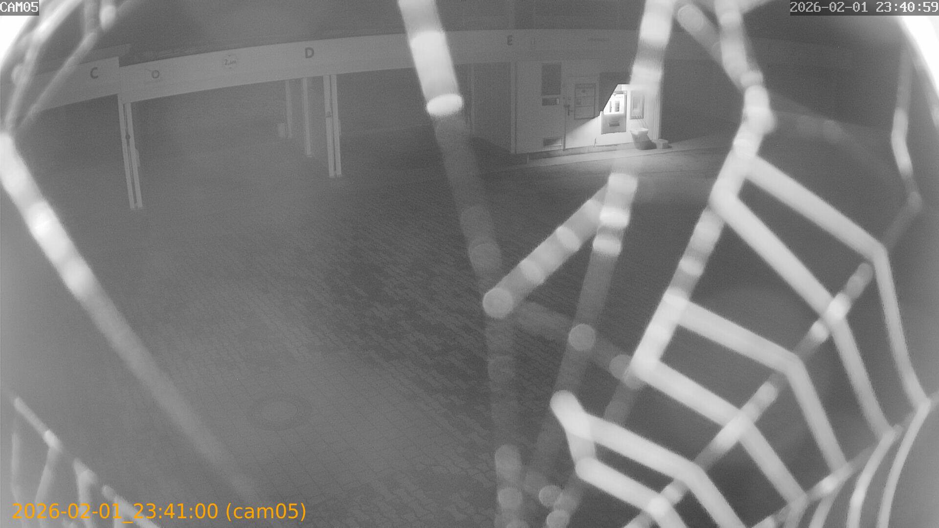 thumbnail_20260201234100